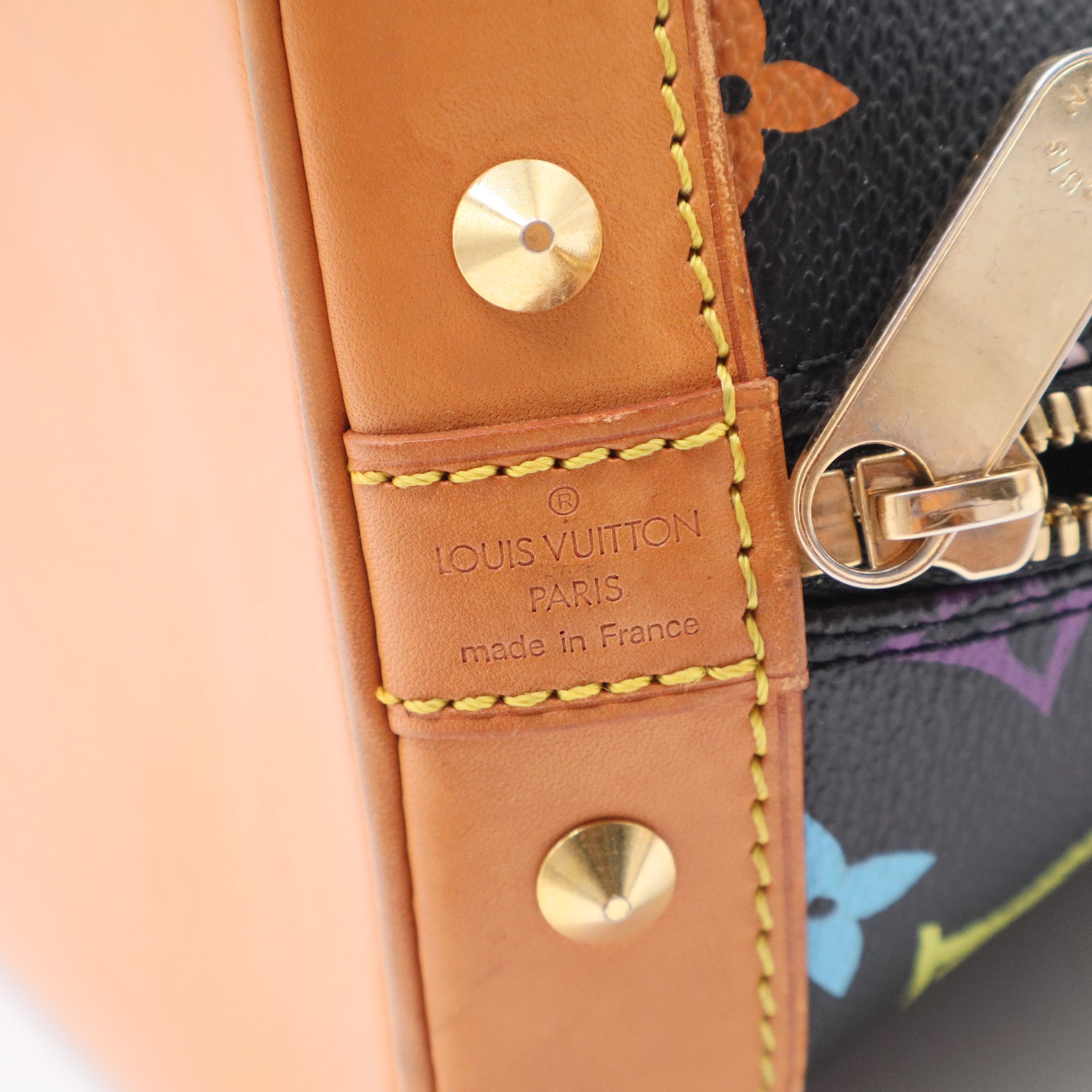 Alma Handbag Monogram Multicolor PM