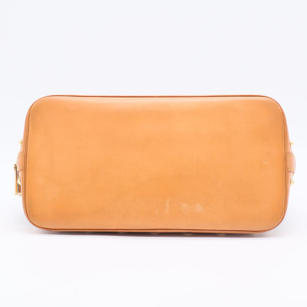 Alma Handbag Monogram Multicolor PM