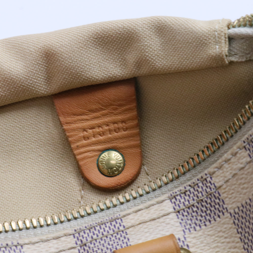Speedy Handbag Damier 30