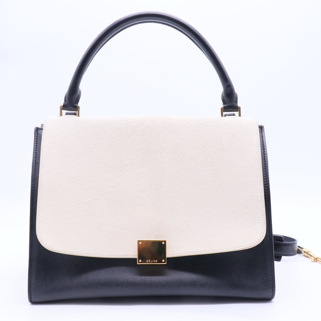 Trapeze Bag Leather