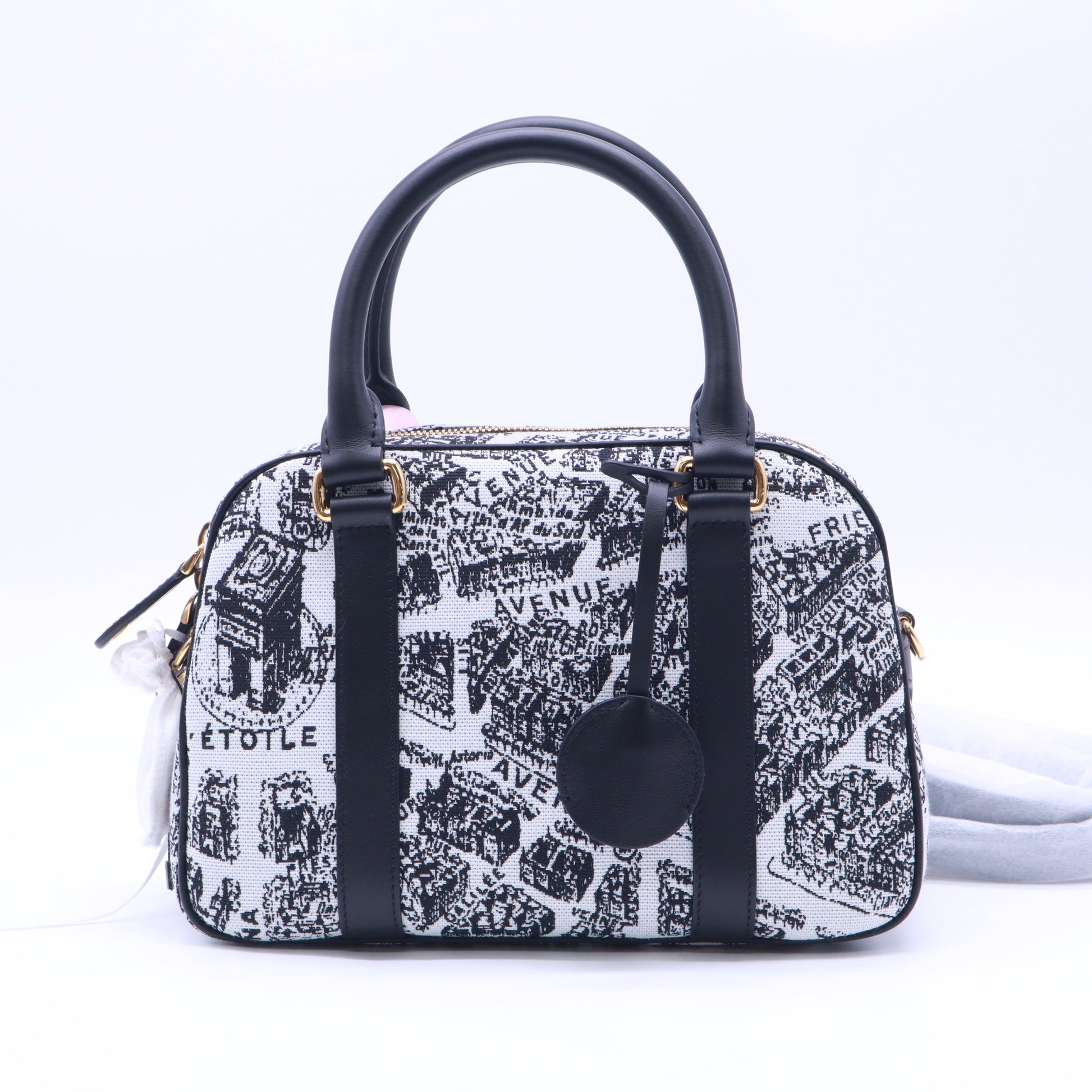 Christian Dior Plan de Paris D-Vibe Medium Bowling Bag Twins LDJ5453