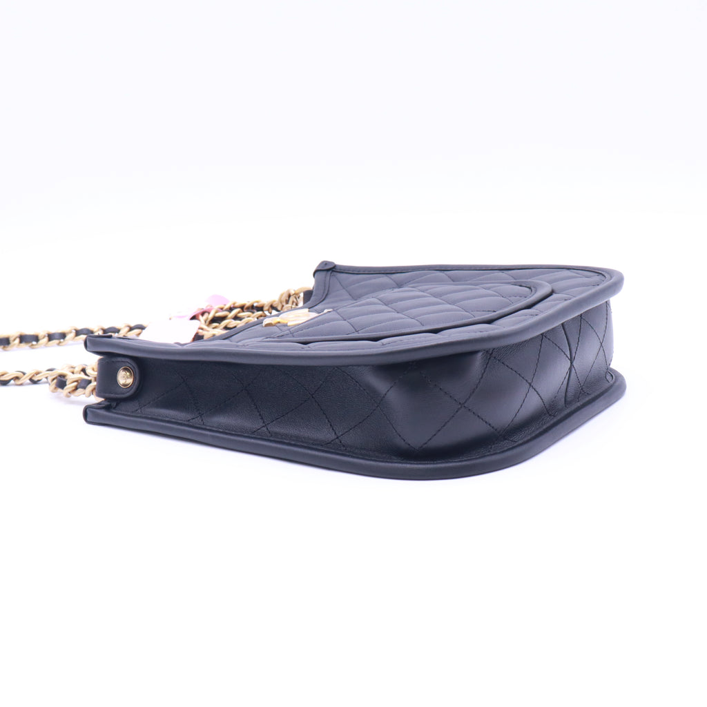 Chanel Quilted Leather Small Hobo Bag Twins LDJ5448