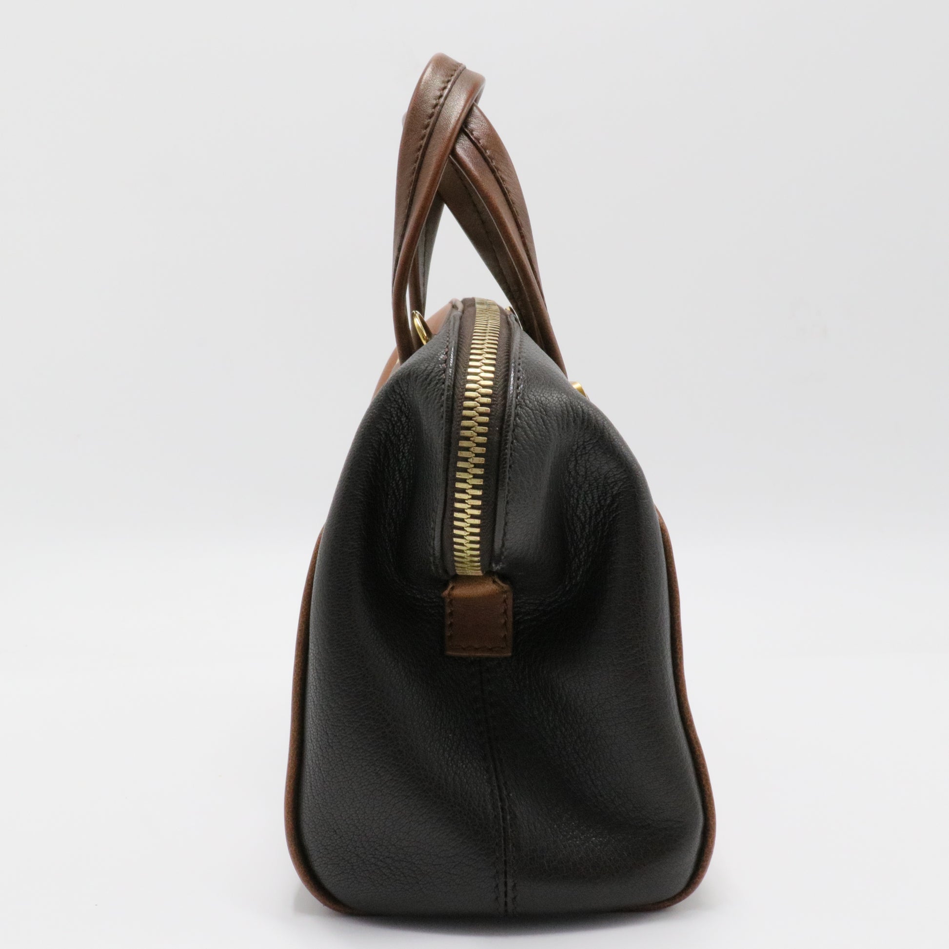 Two Tone Brown Leather Chameleon Satchel