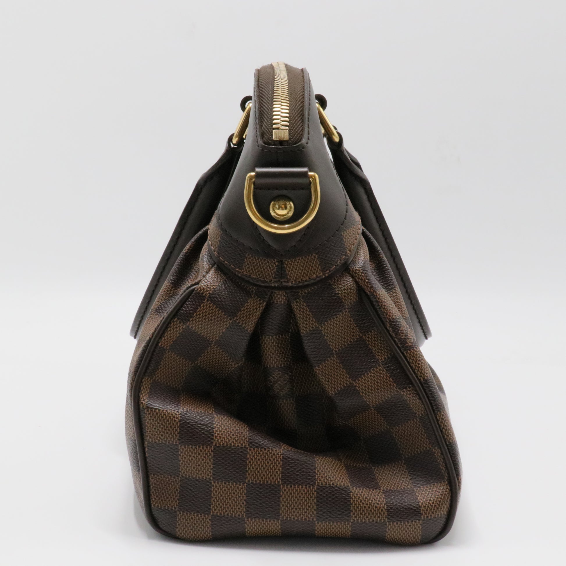 Trevi Handbag Damier PM