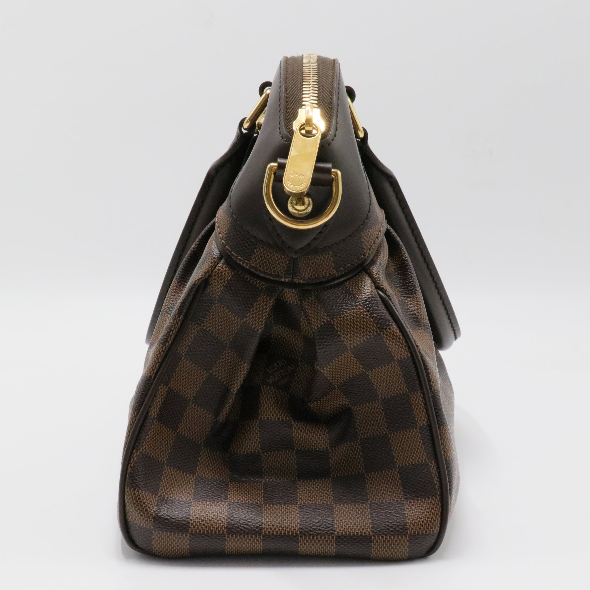 Trevi Handbag Damier PM