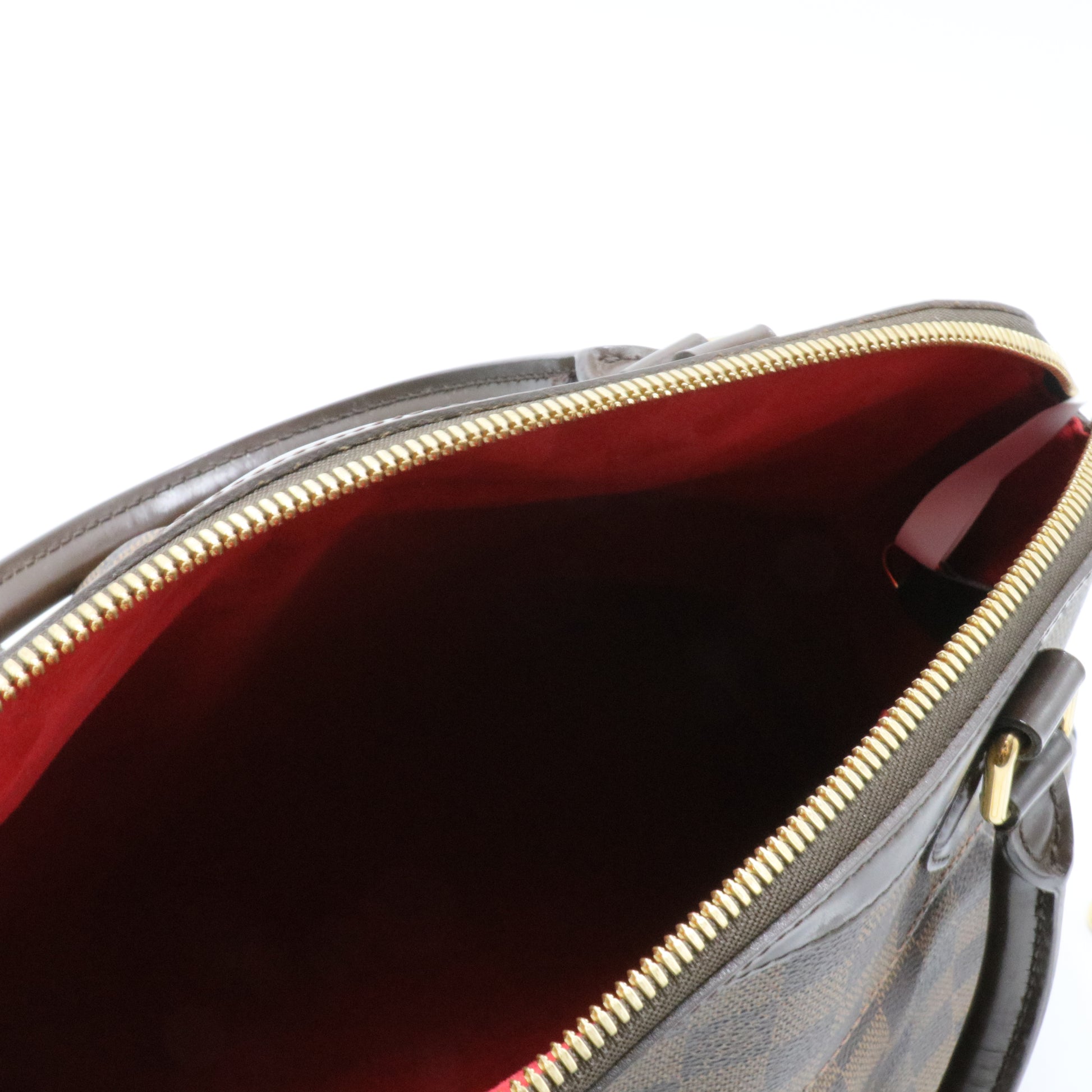 Trevi Handbag Damier GM