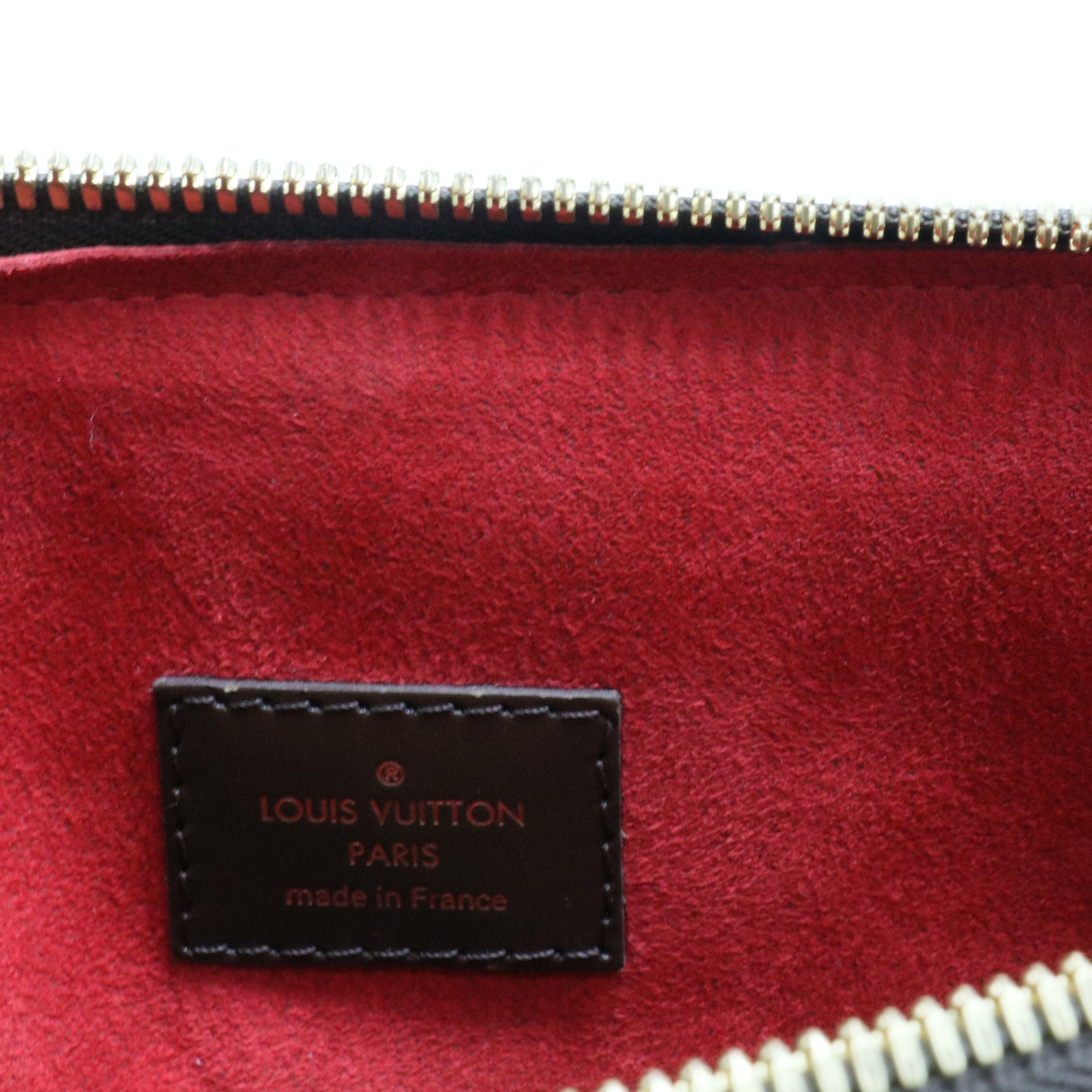 Trevi Handbag Damier GM