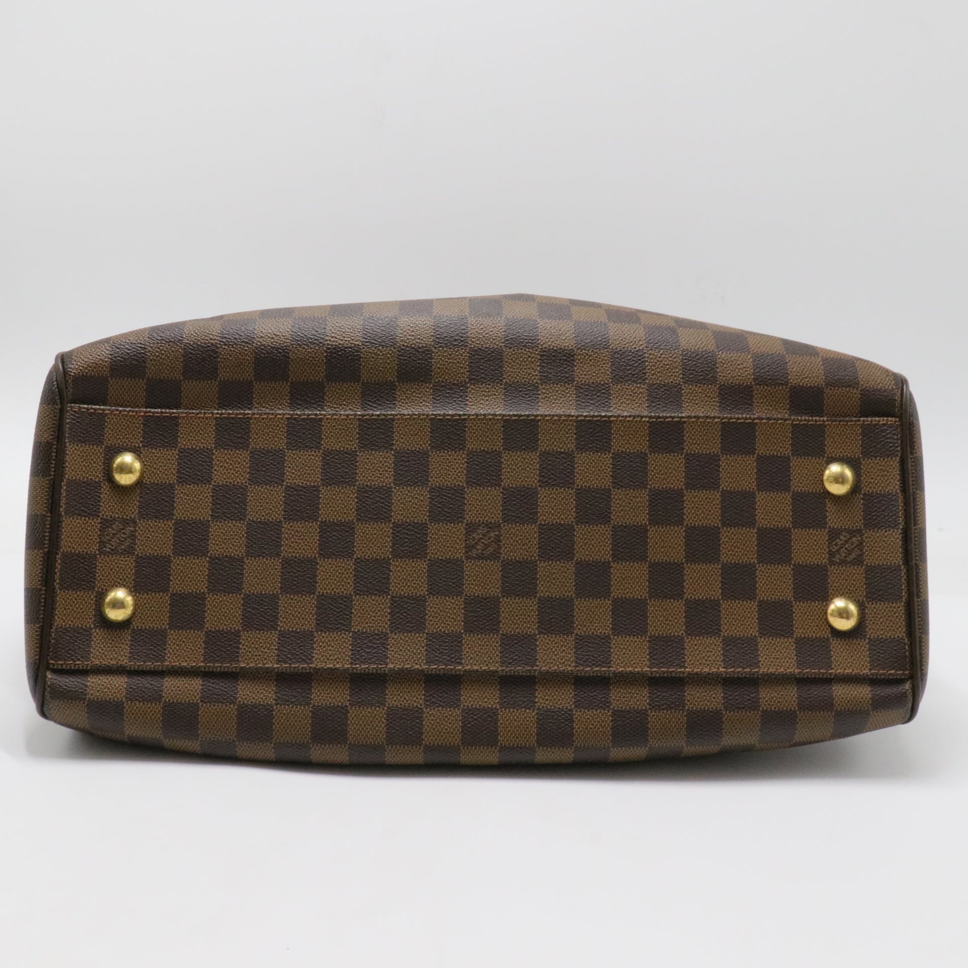 Trevi Handbag Damier GM