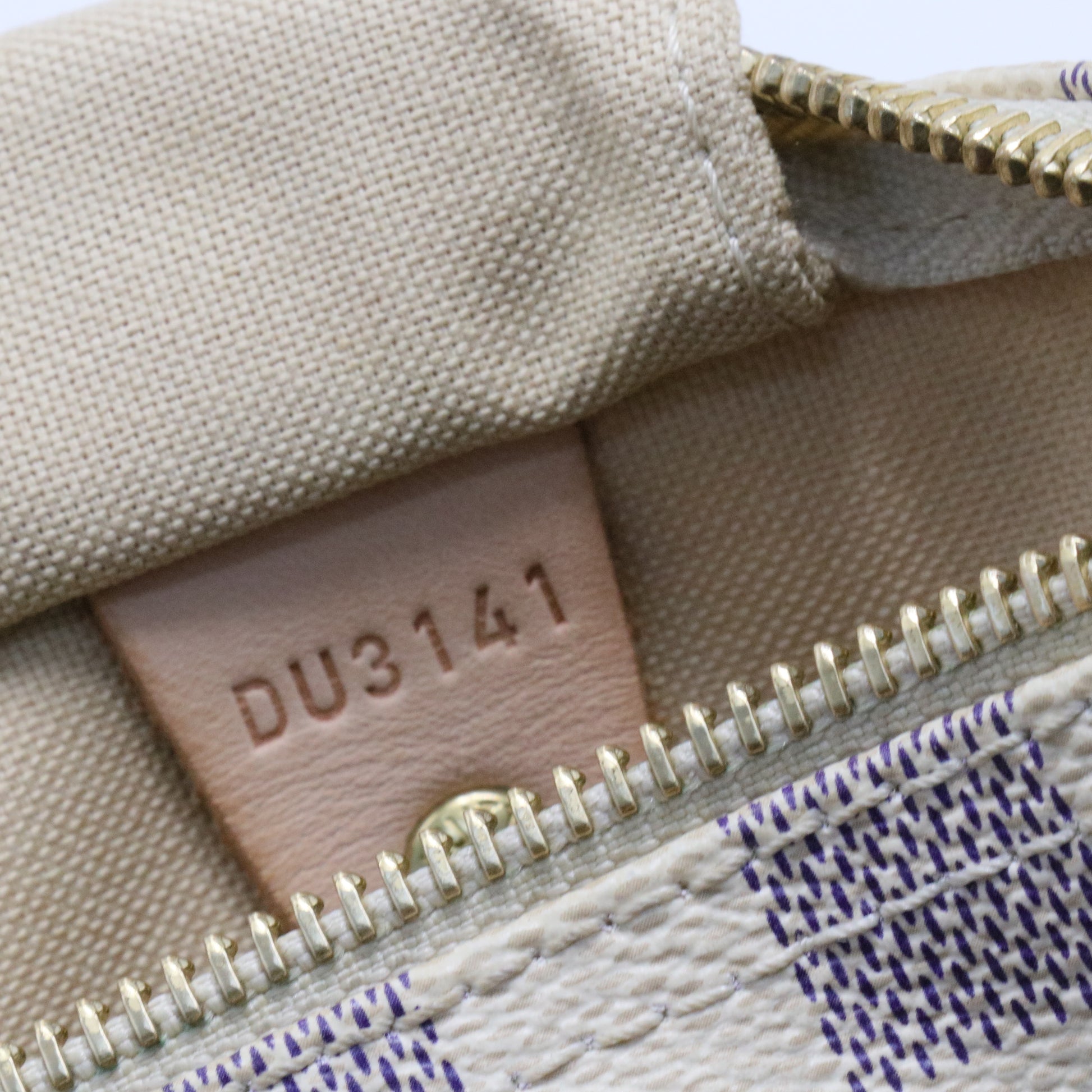 Speedy Handbag Damier 30