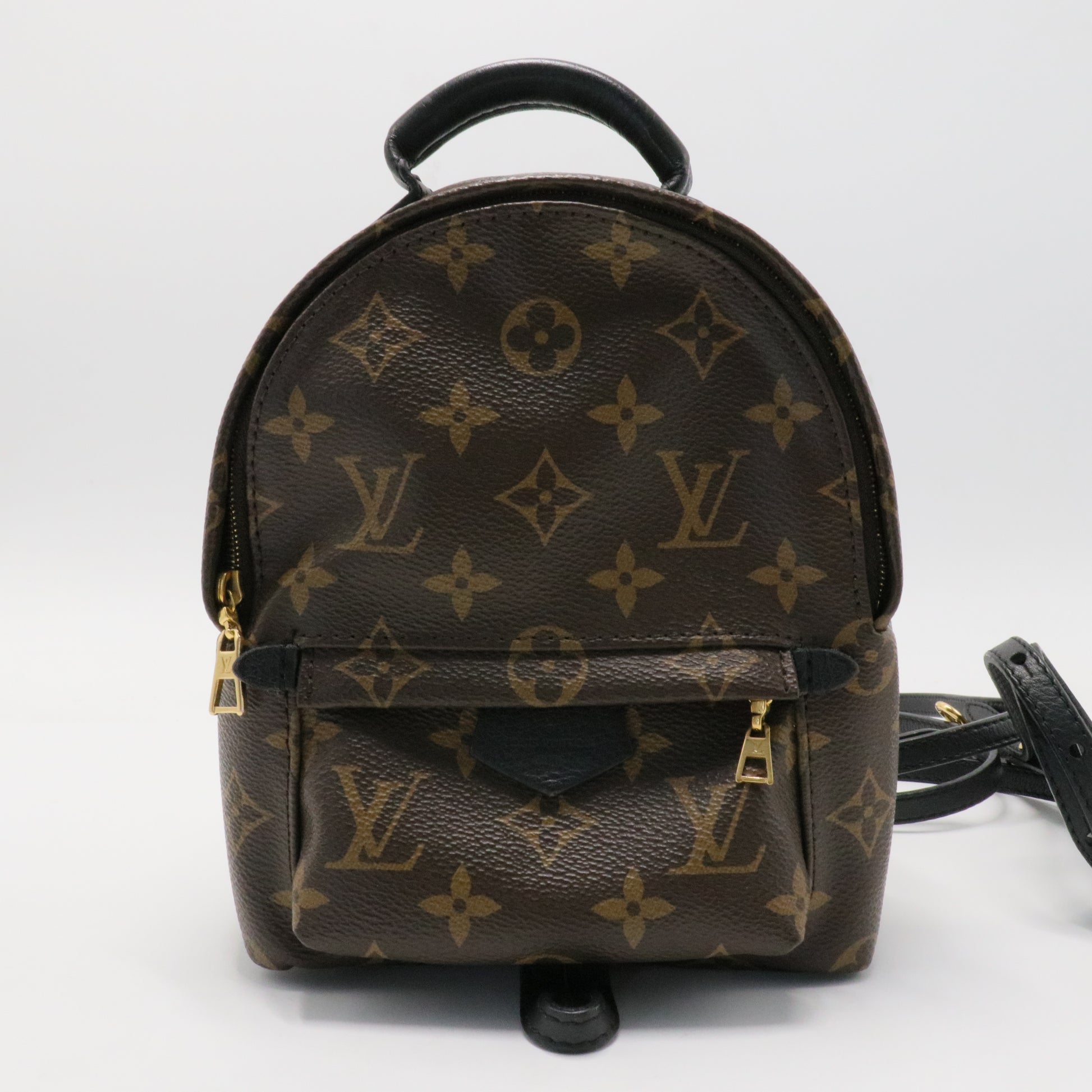Palm Springs Backpack Monogram Canvas Mini