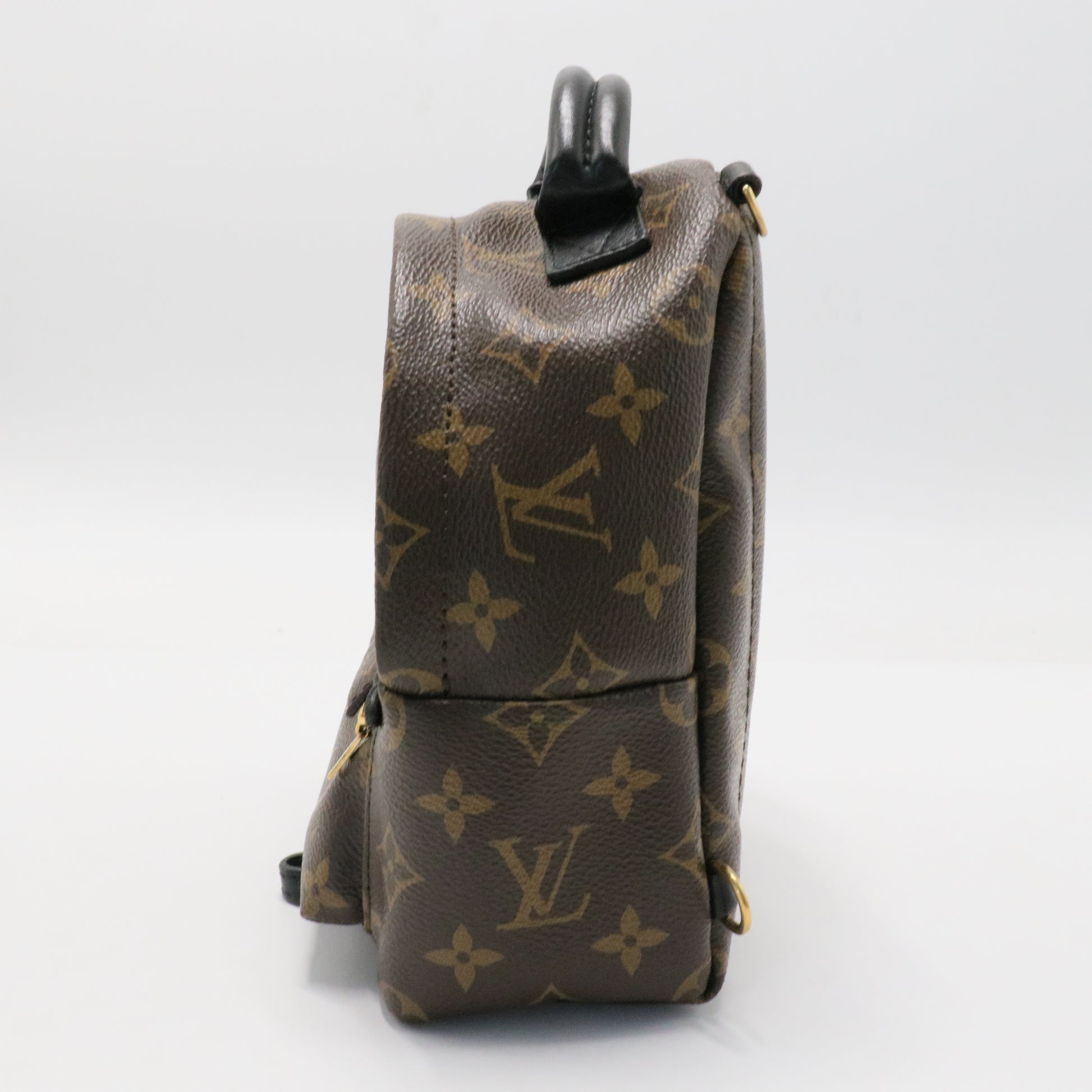 Palm Springs Backpack Monogram Canvas Mini