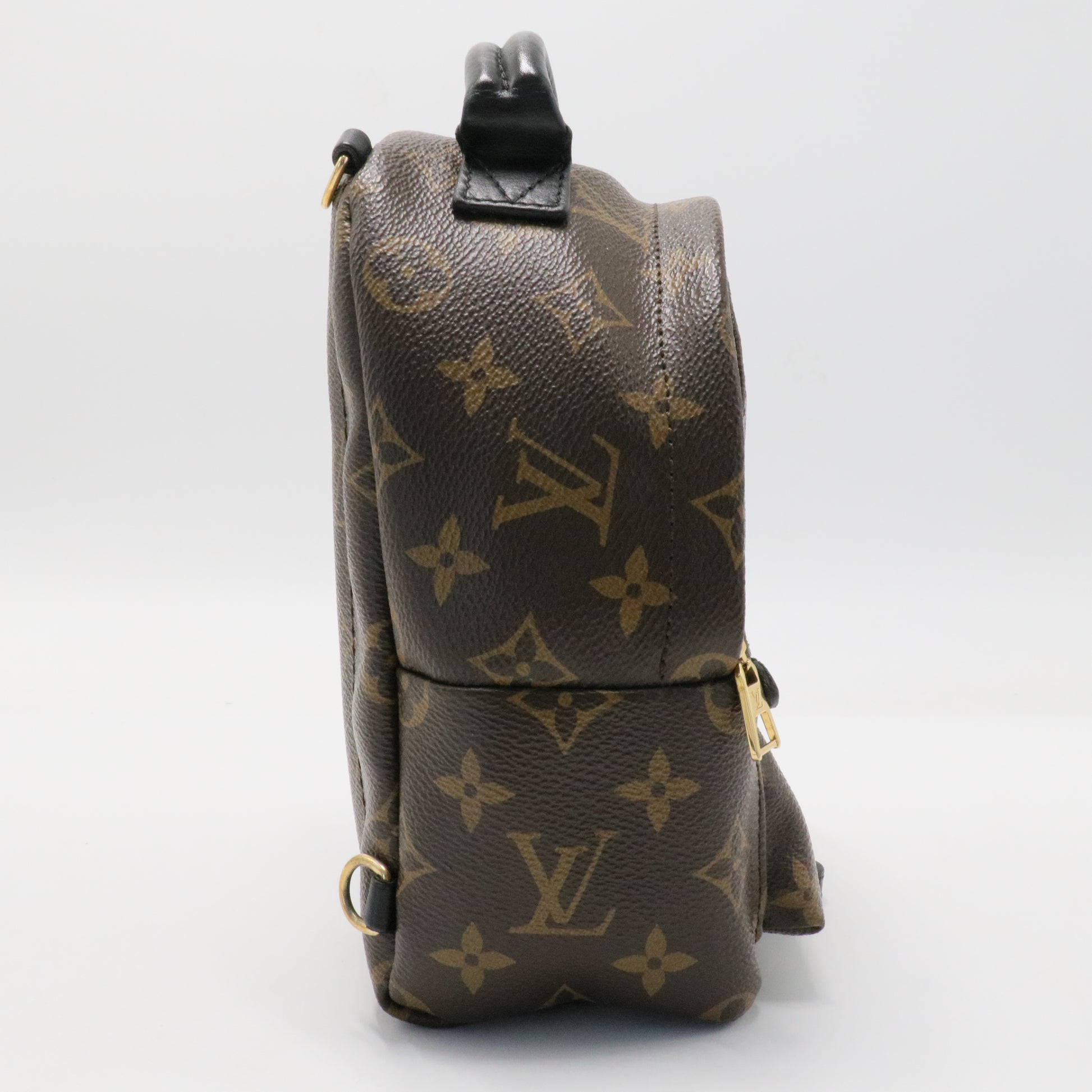 Palm Springs Backpack Monogram Canvas Mini