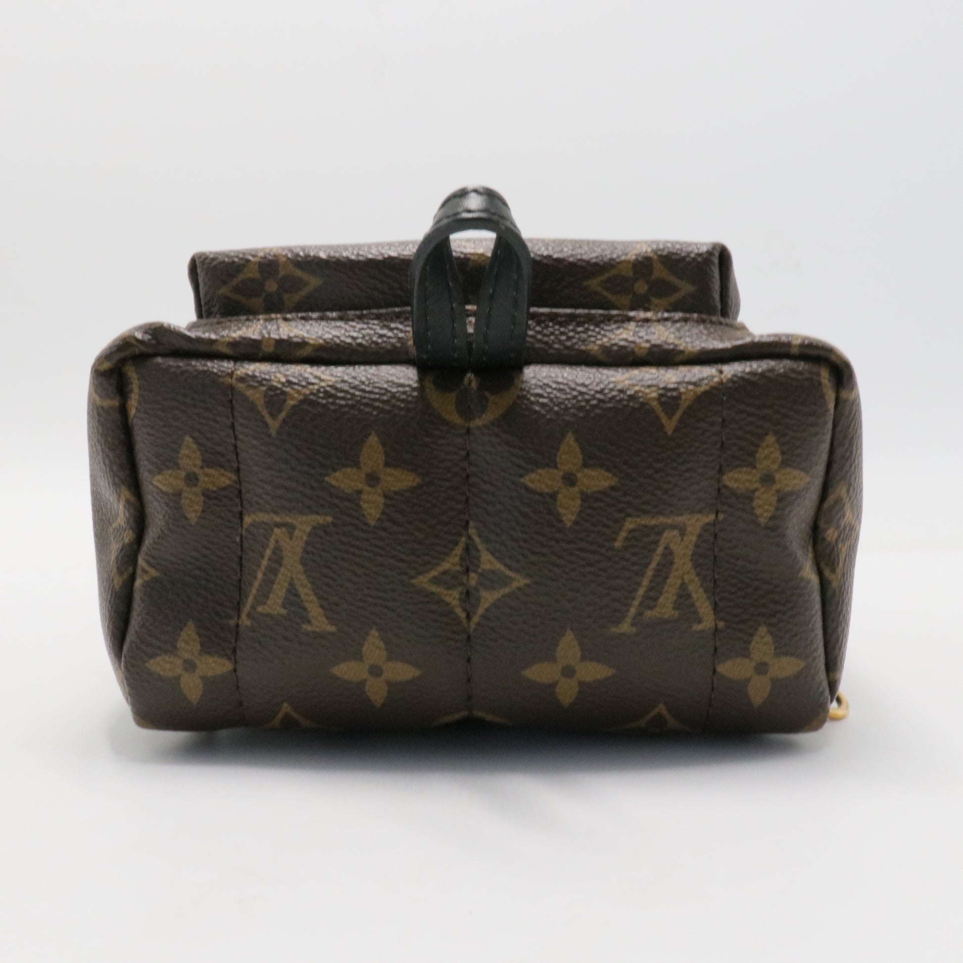 Palm Springs Backpack Monogram Canvas Mini