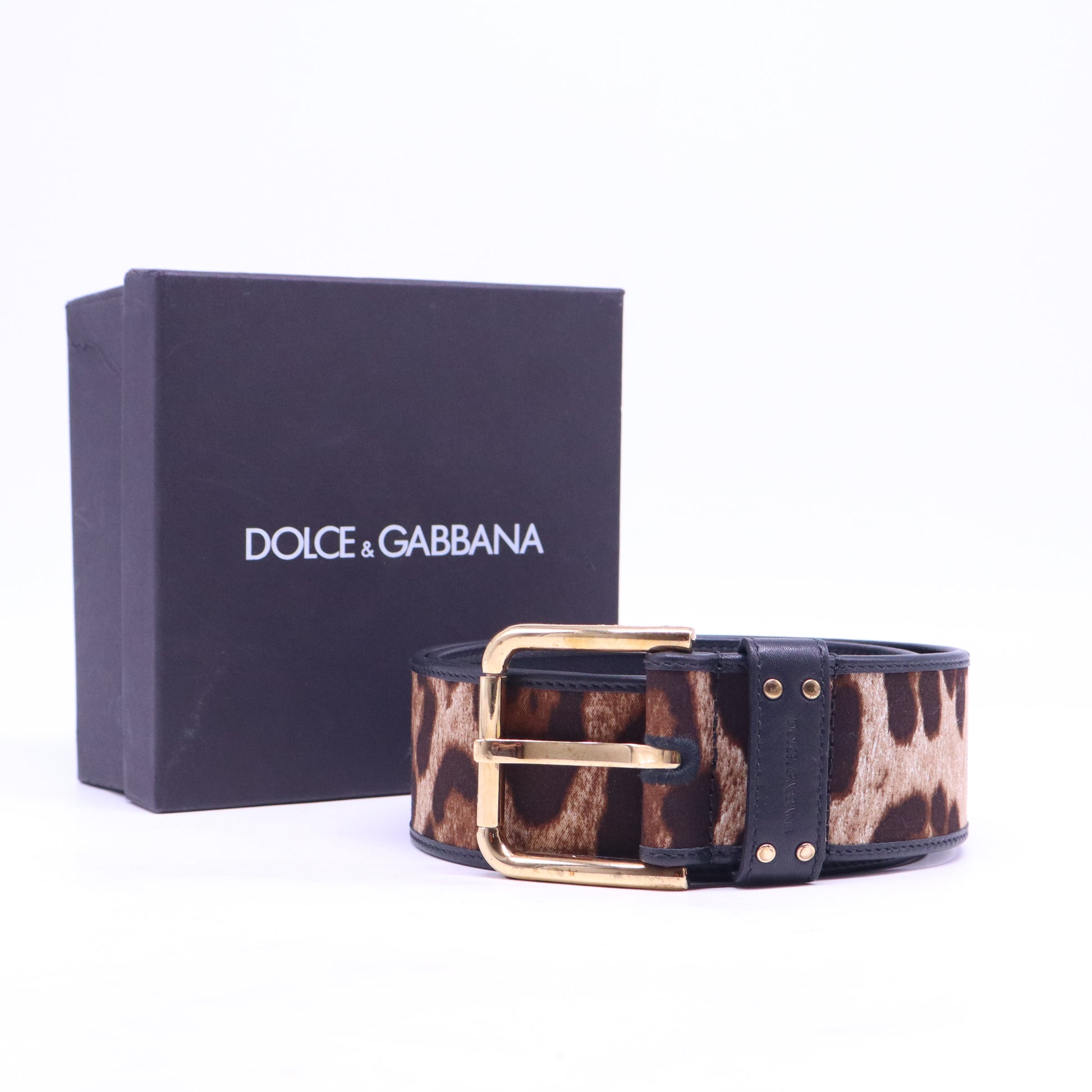 Leopard-print glossy calfskin belt with DG logo