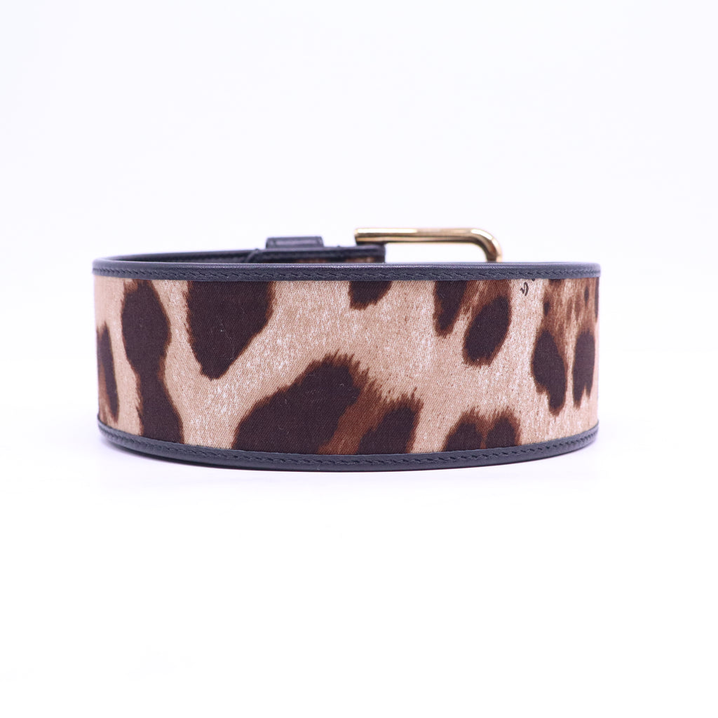 Leopard-print glossy calfskin belt with DG logo
