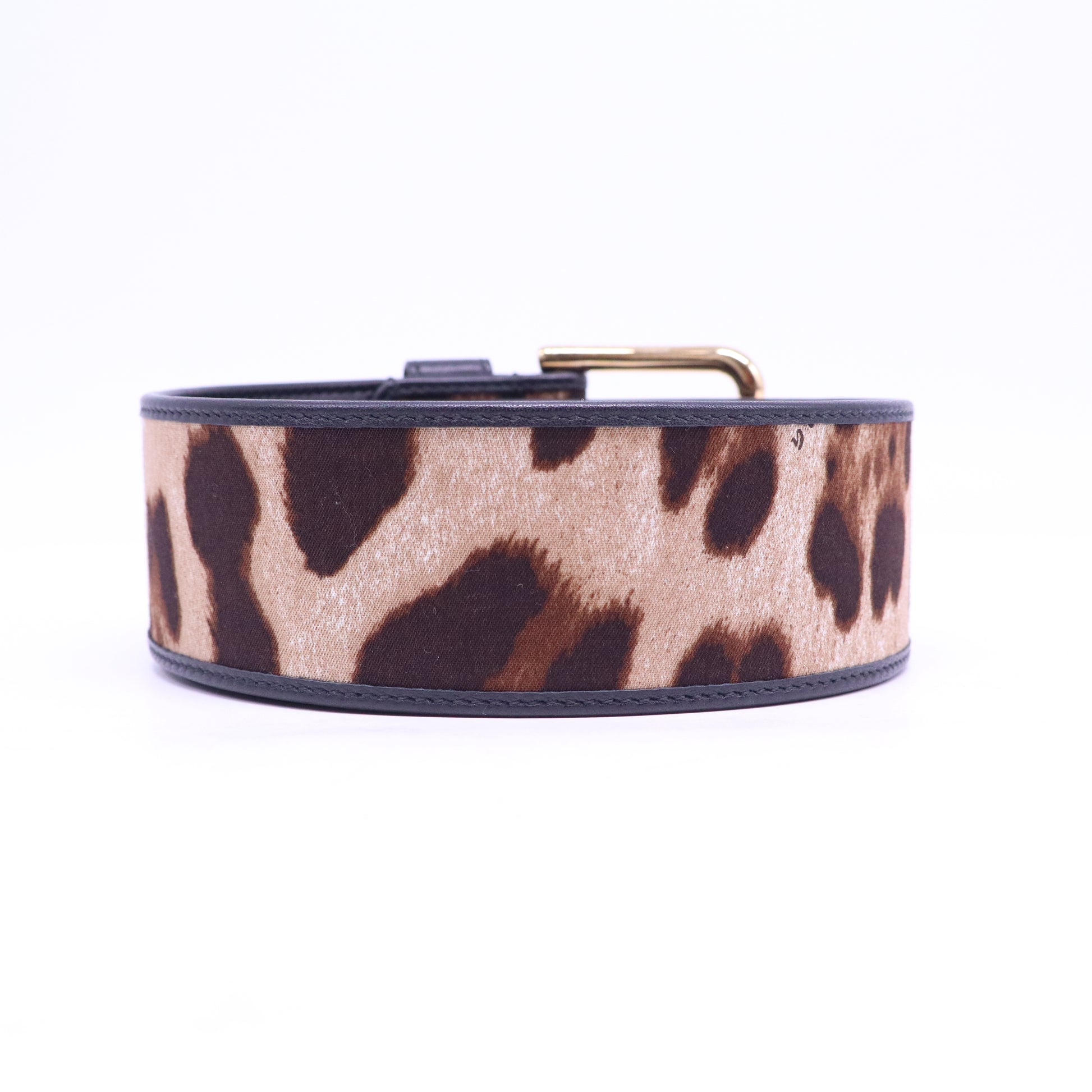 Leopard-print glossy calfskin belt with DG logo