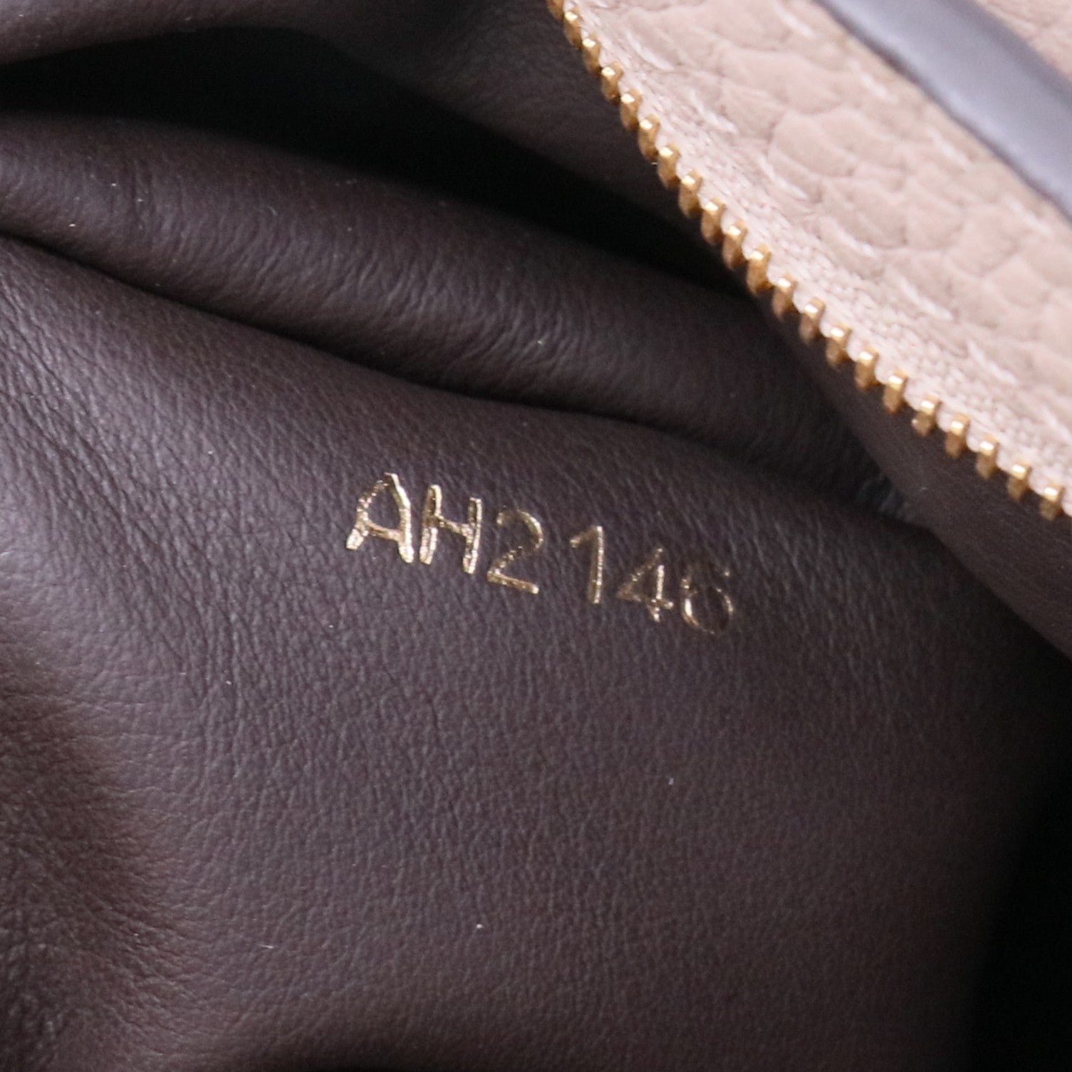 Louis Vuitton Galet Taurillon Leather Capucines Bag twins