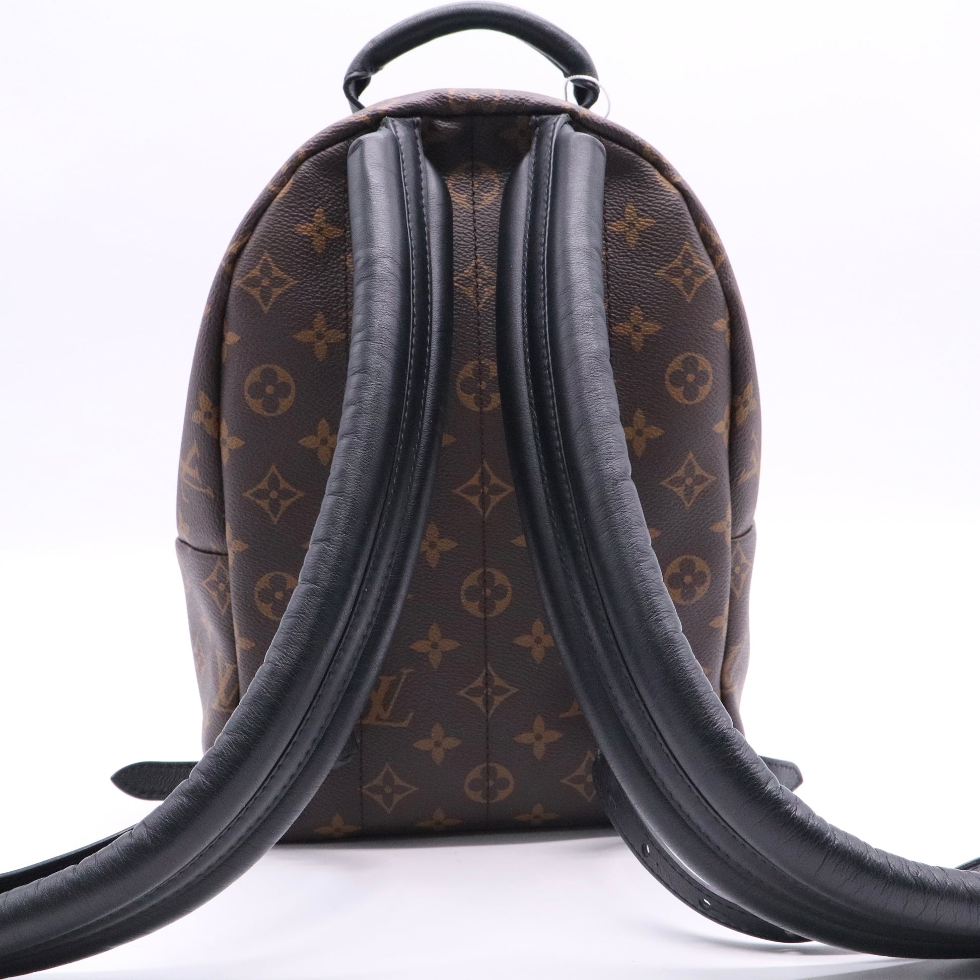 Monogram Canvas Palm Springs PM Backpack twins LDJ2731
