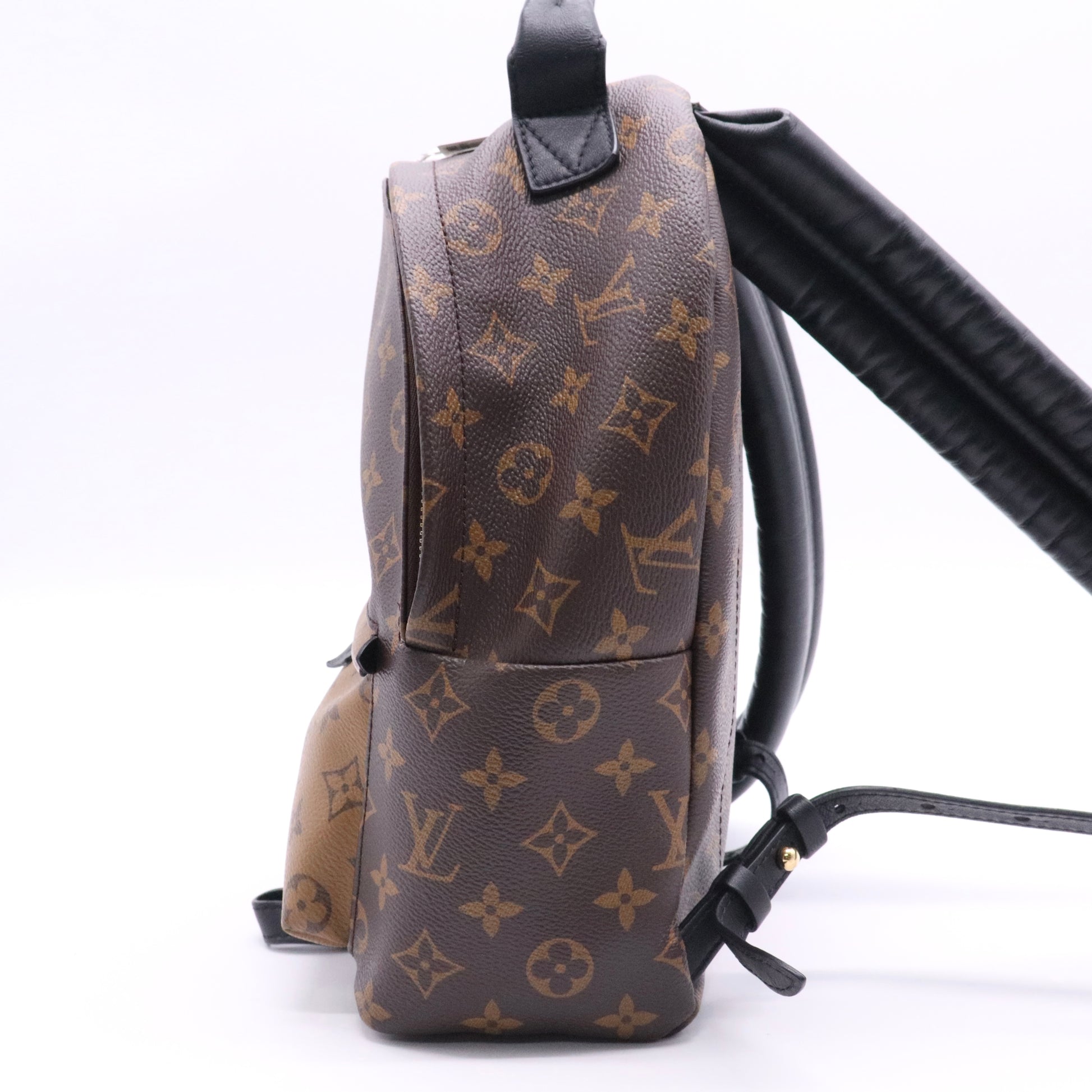 Monogram Canvas Palm Springs PM Backpack twins LDJ2731