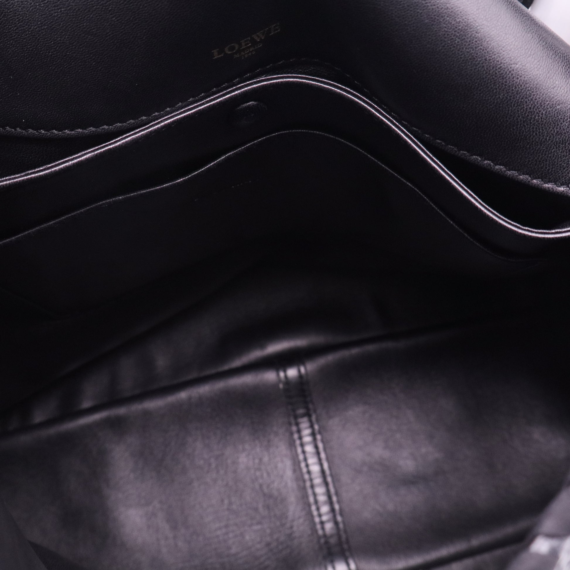 LoeweLizard-Trimmed Granada Bag