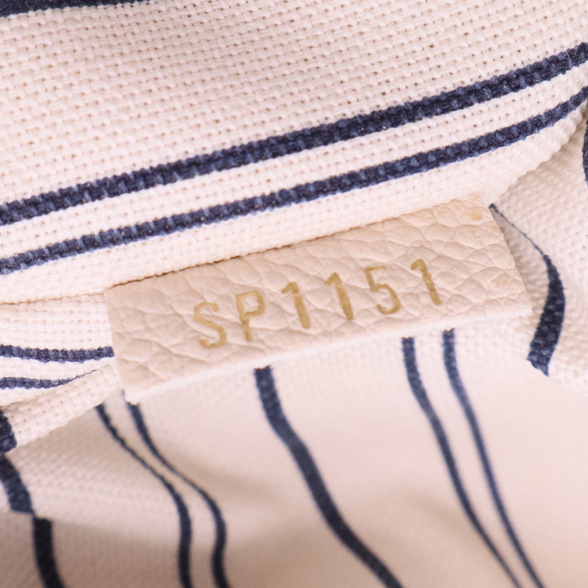 Lumineuse Handbag Monogram Empreinte Leather PM Twins