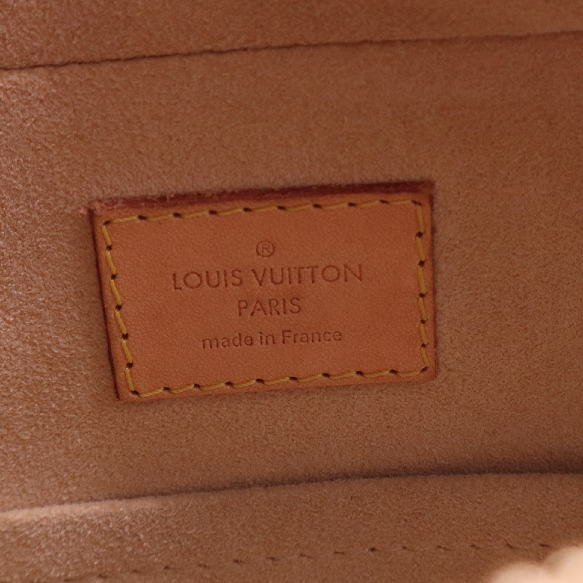 Monogram Coated Canvas Dora PM Tote Bag twins