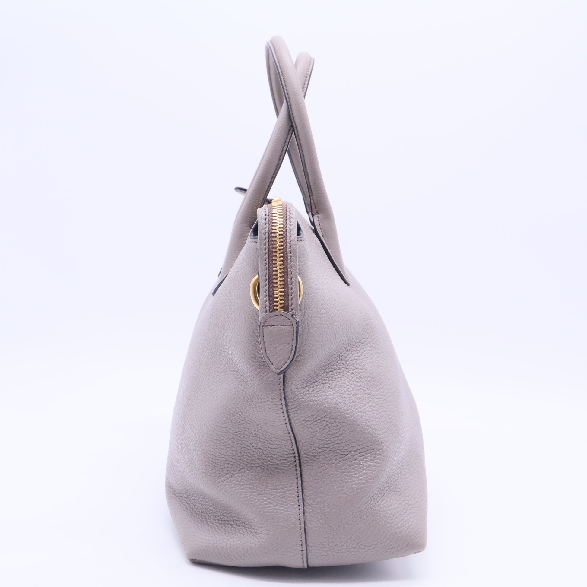 Dual Strap Zip Tote Vitello Daino Medium B20186