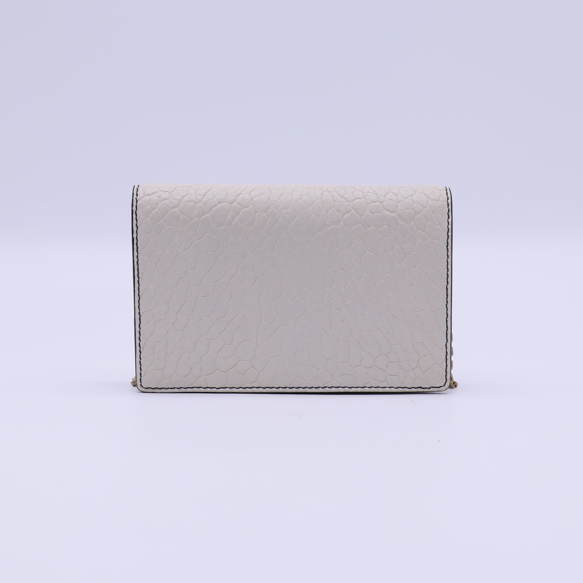 Christian Dior  Calfskin Leather J'ADIOR Wallet on Chain Clutch Bag twins B22039