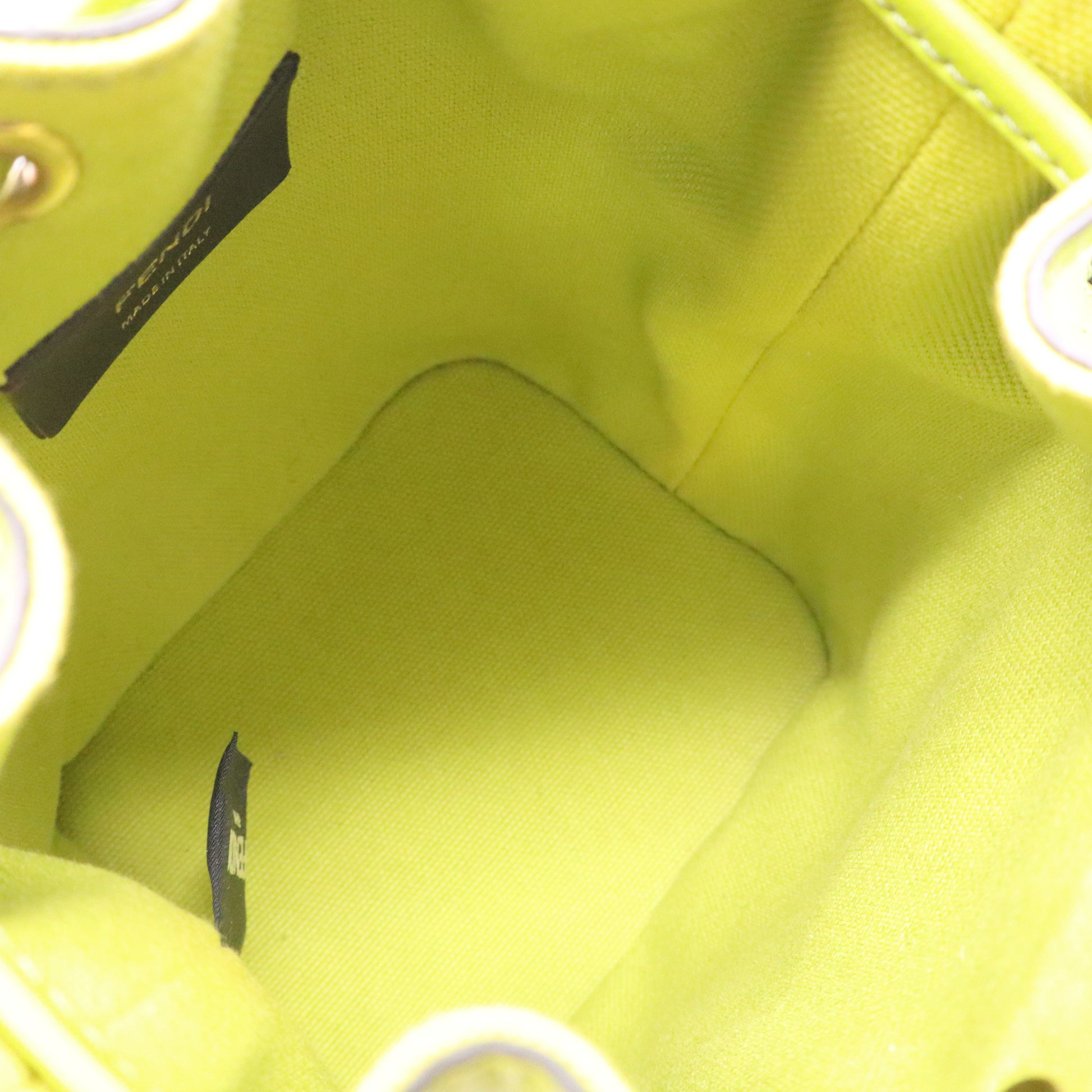 Fendi Zucca Mini Mon Tresor Bucket Bag twins LDJ3587