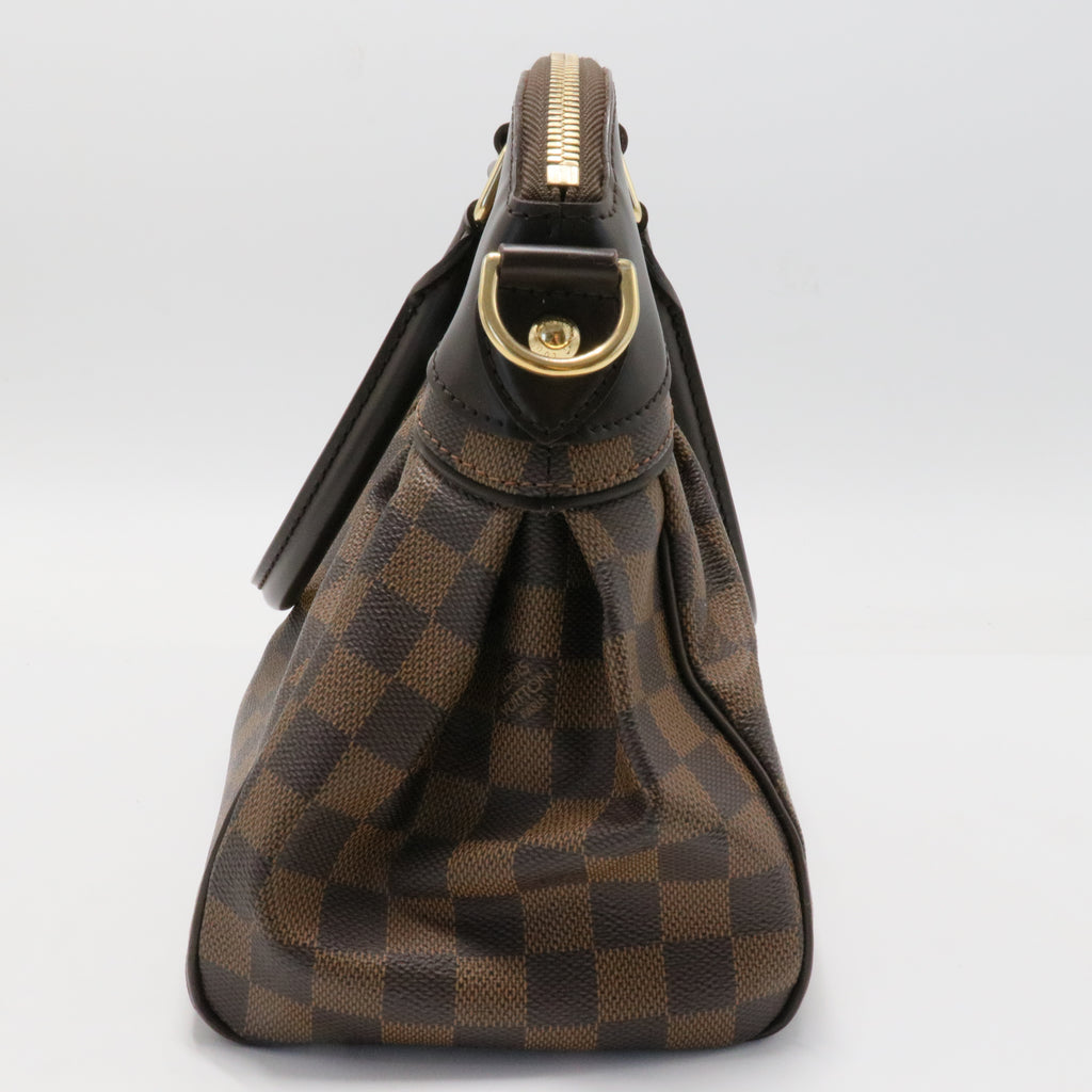 Trevi Handbag Damier PM