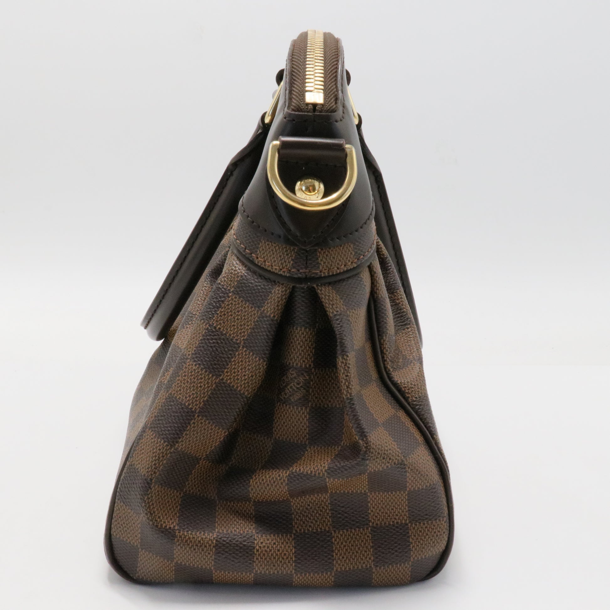 Trevi Handbag Damier PM