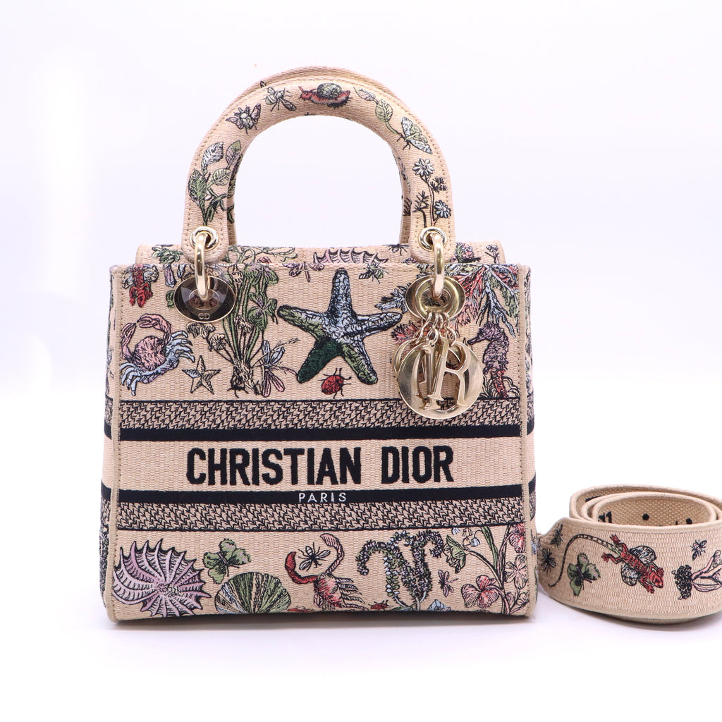 Christian Dior Canvas D-Lite Medium 2024 twins LDJ3584