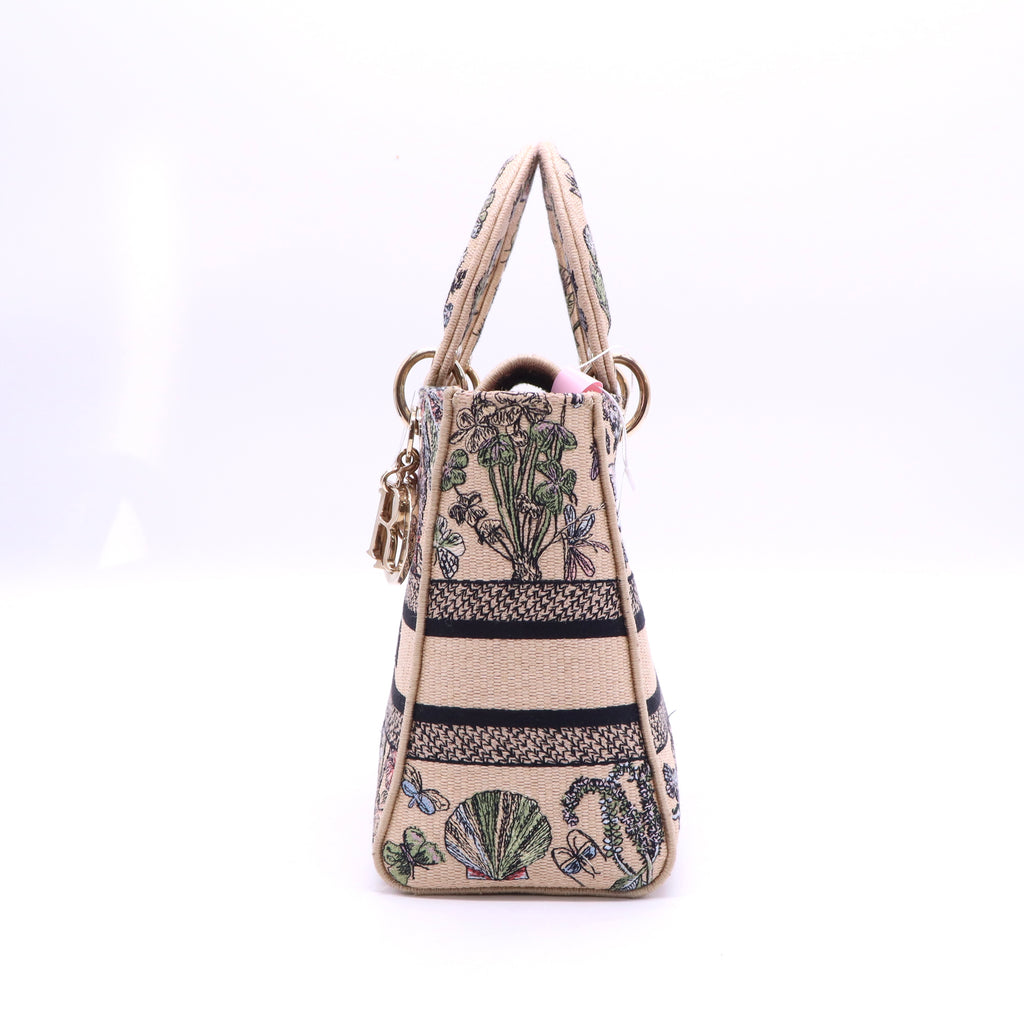 Christian Dior Canvas D-Lite Medium 2024 twins LDJ3584