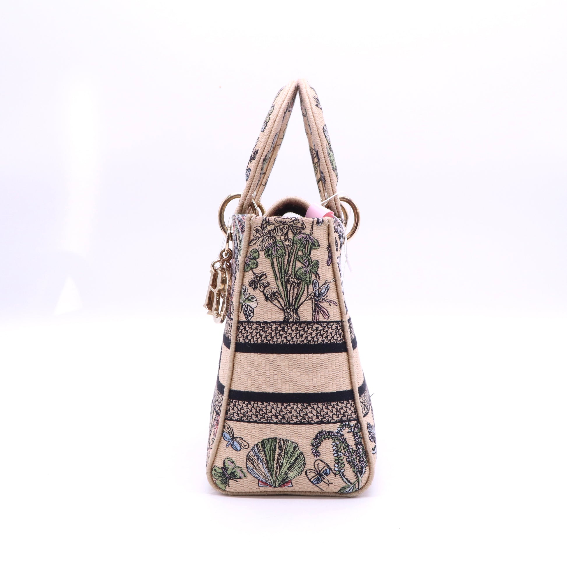 Christian Dior Canvas D-Lite Medium 2024 twins LDJ3584
