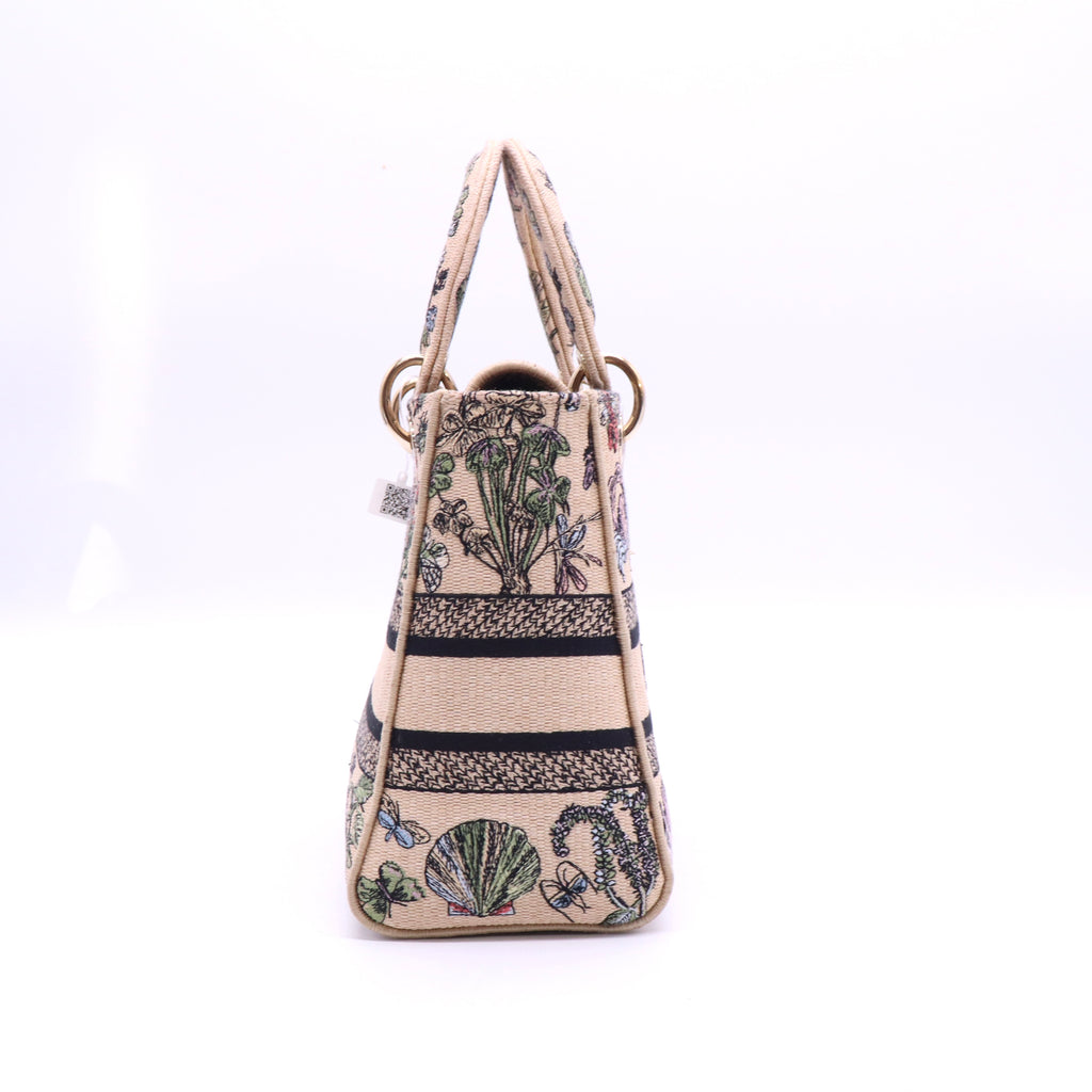Christian Dior Canvas D-Lite Medium 2024 twins LDJ3584