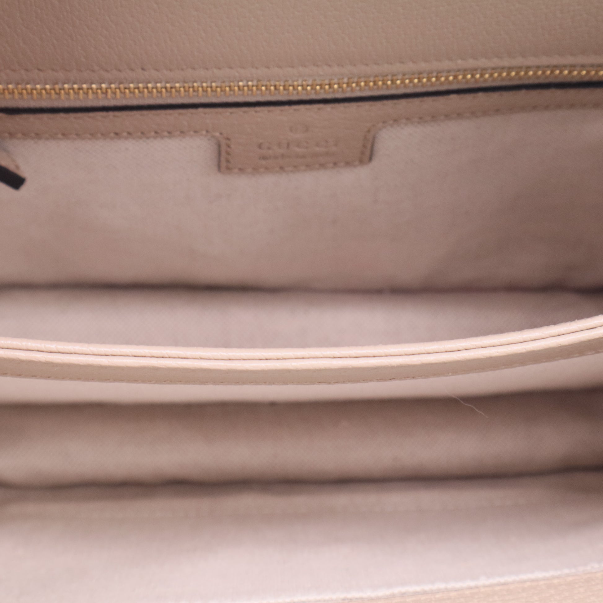 GG Supreme Medium Ophidia Top Handle Bag twins