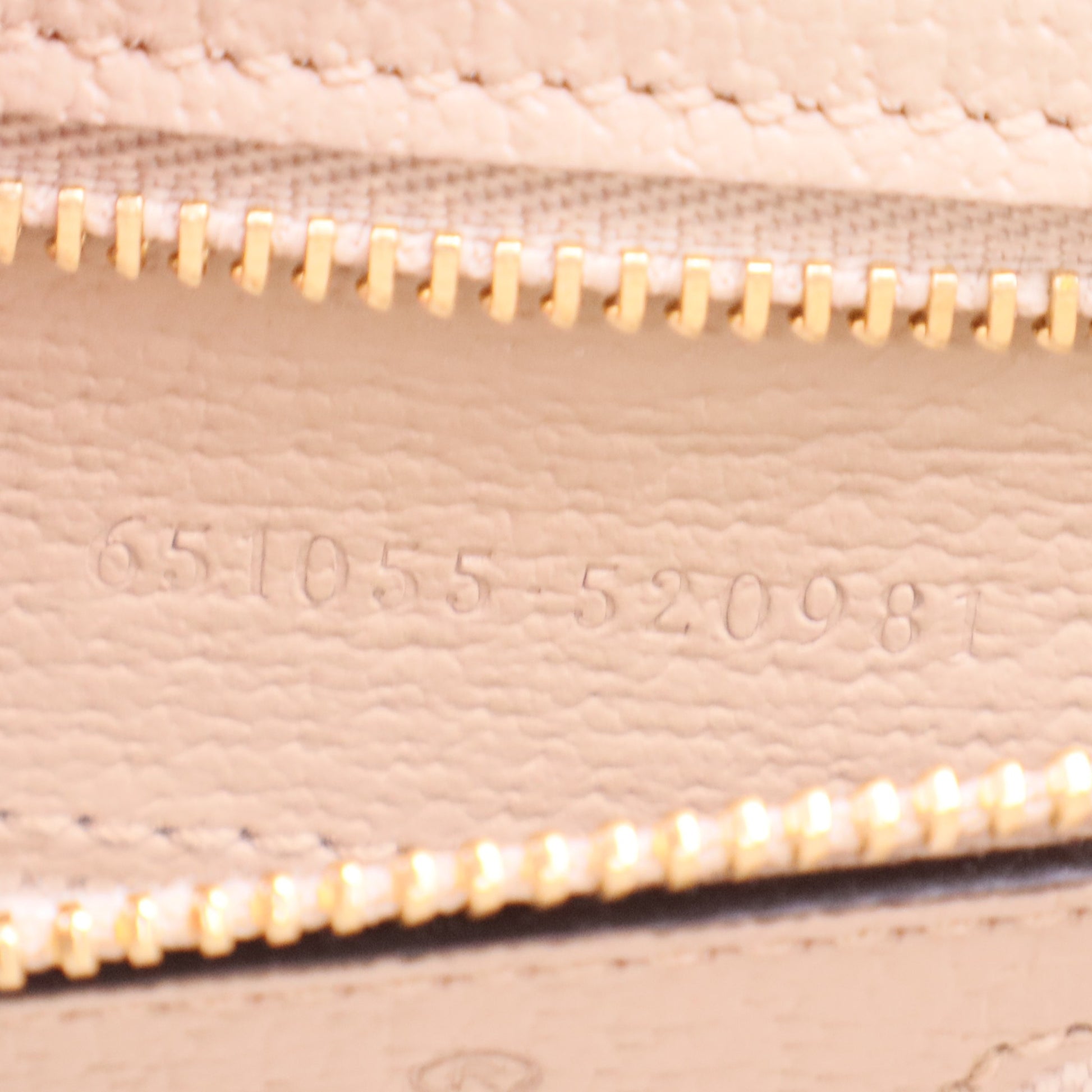 GG Supreme Medium Ophidia Top Handle Bag twins