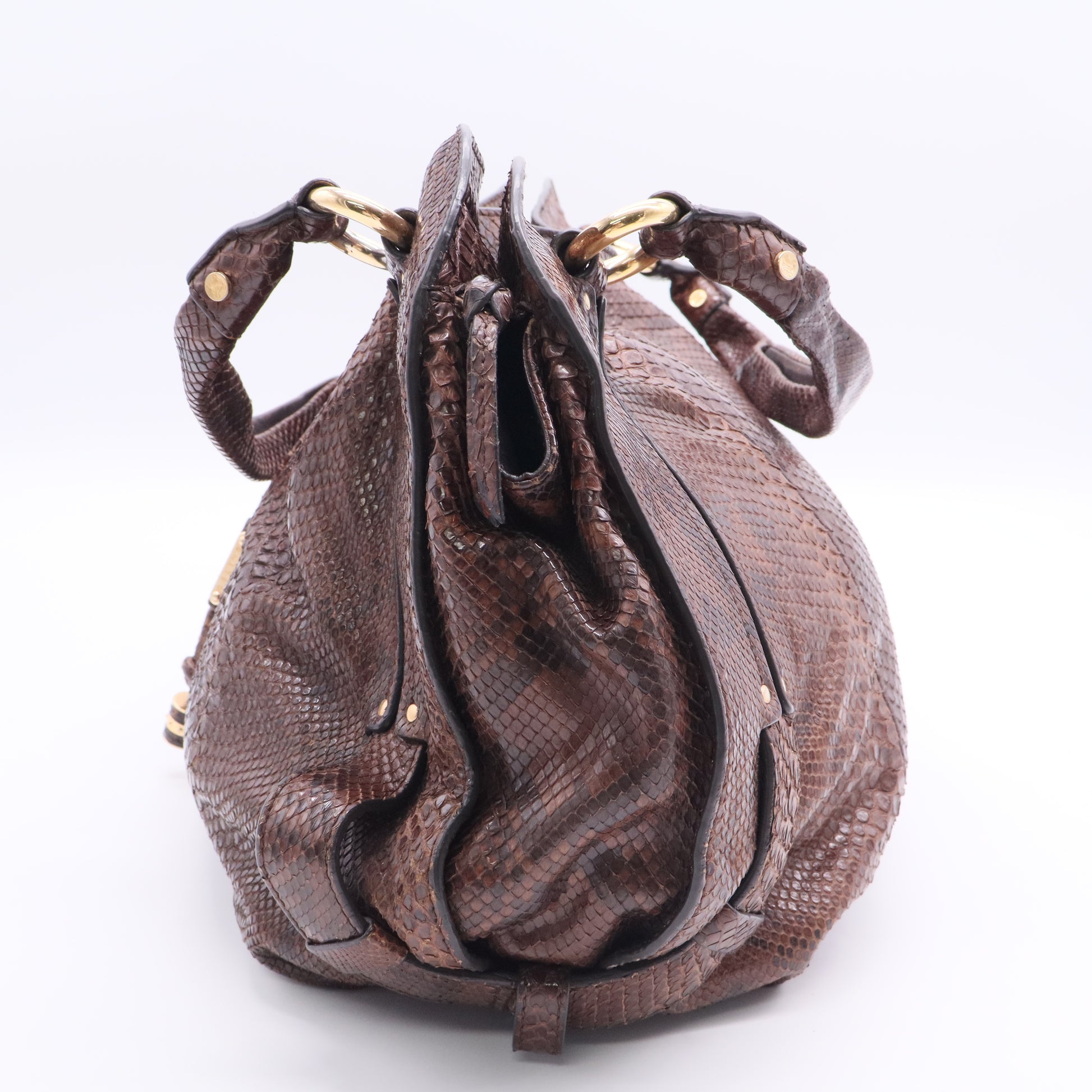 Python Bittersweet Hobo twins B12098