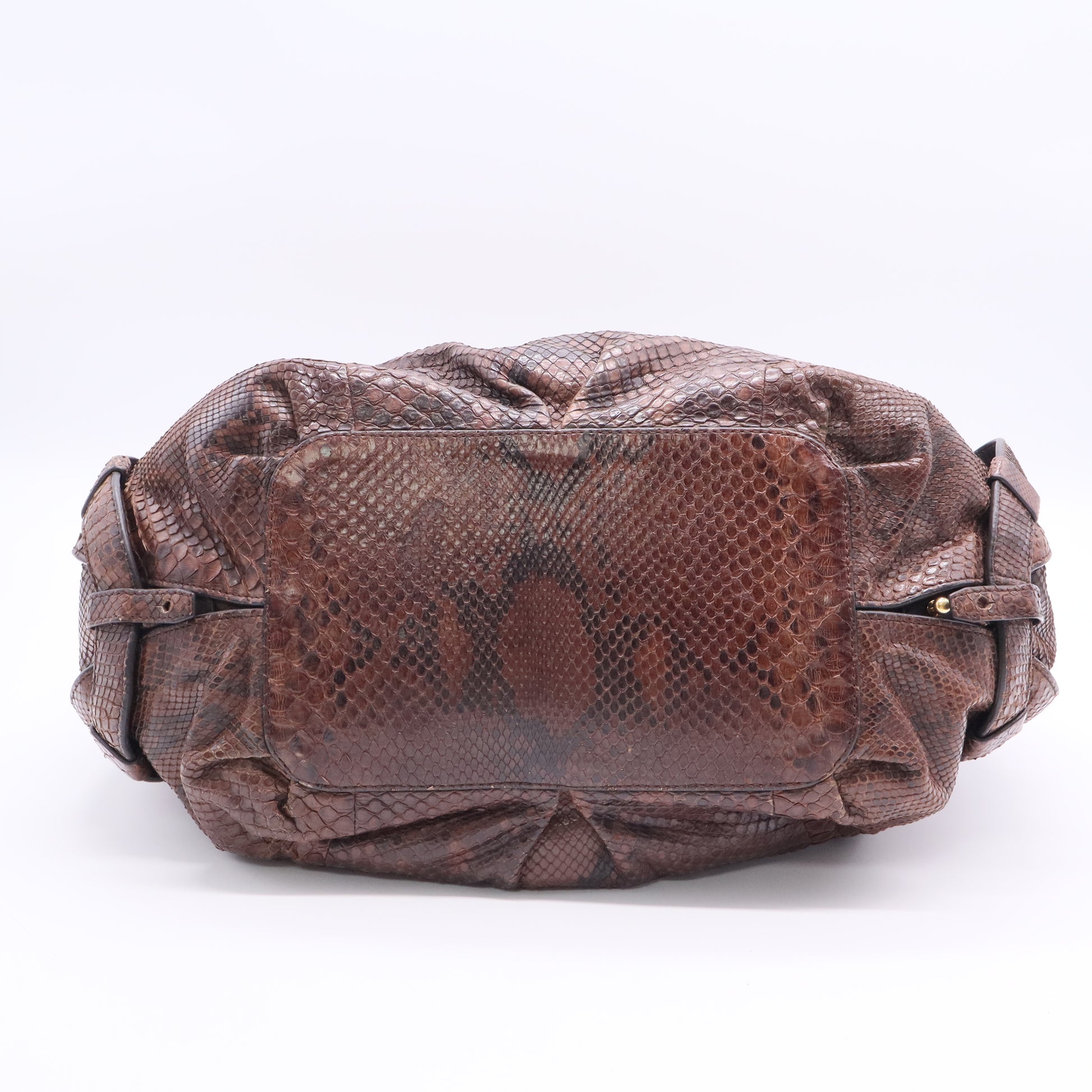 Python Bittersweet Hobo twins B12098