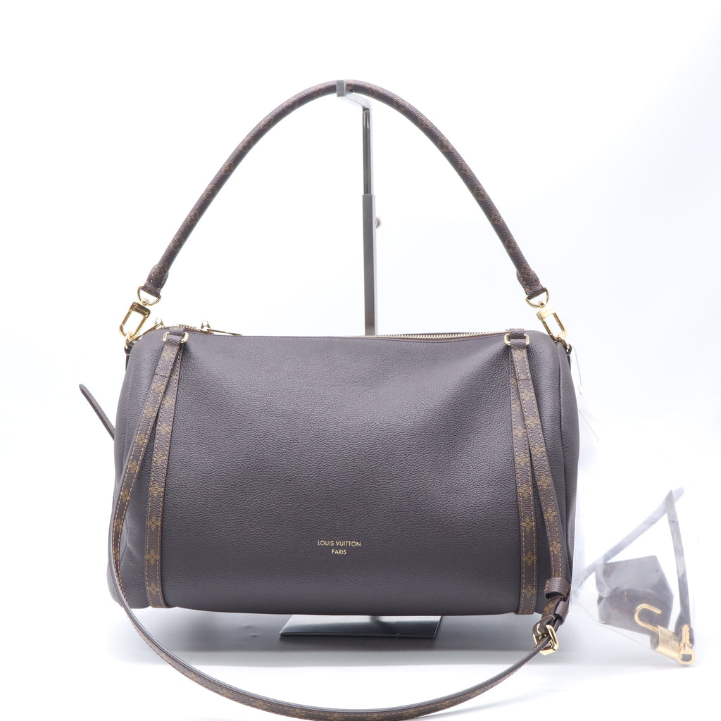 Louis Vuitton LV Monogram Express MM Twins LDZ932