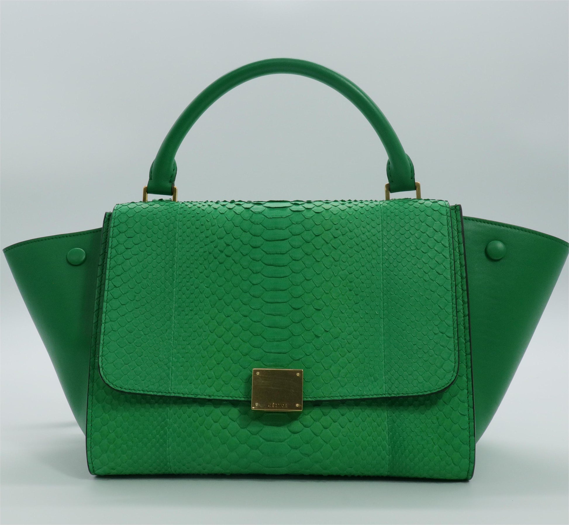 Green Python and Leather Small Trapeze Bag twins