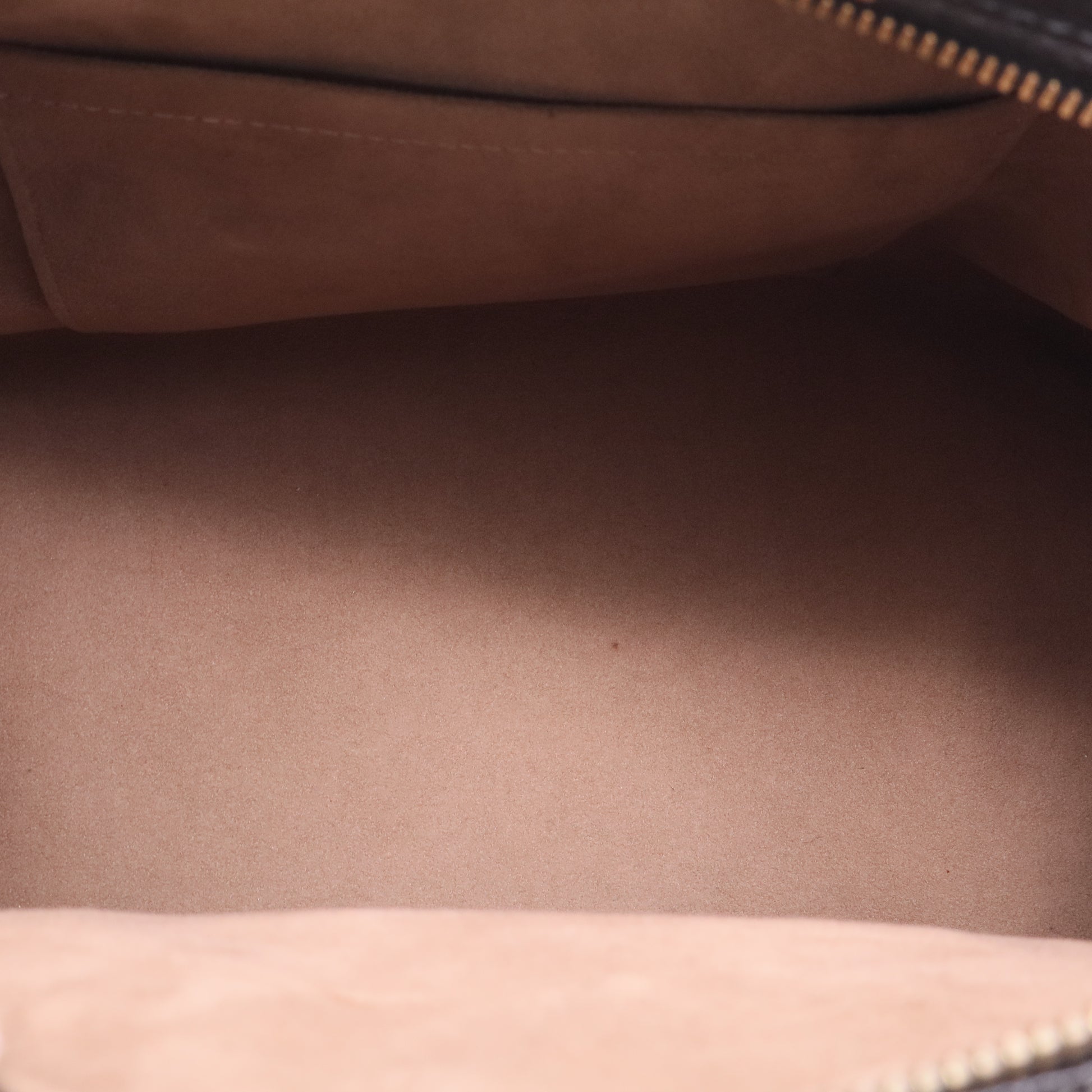 Louis Vuitton Takashi Murakami Speedy 30 Handbag twins