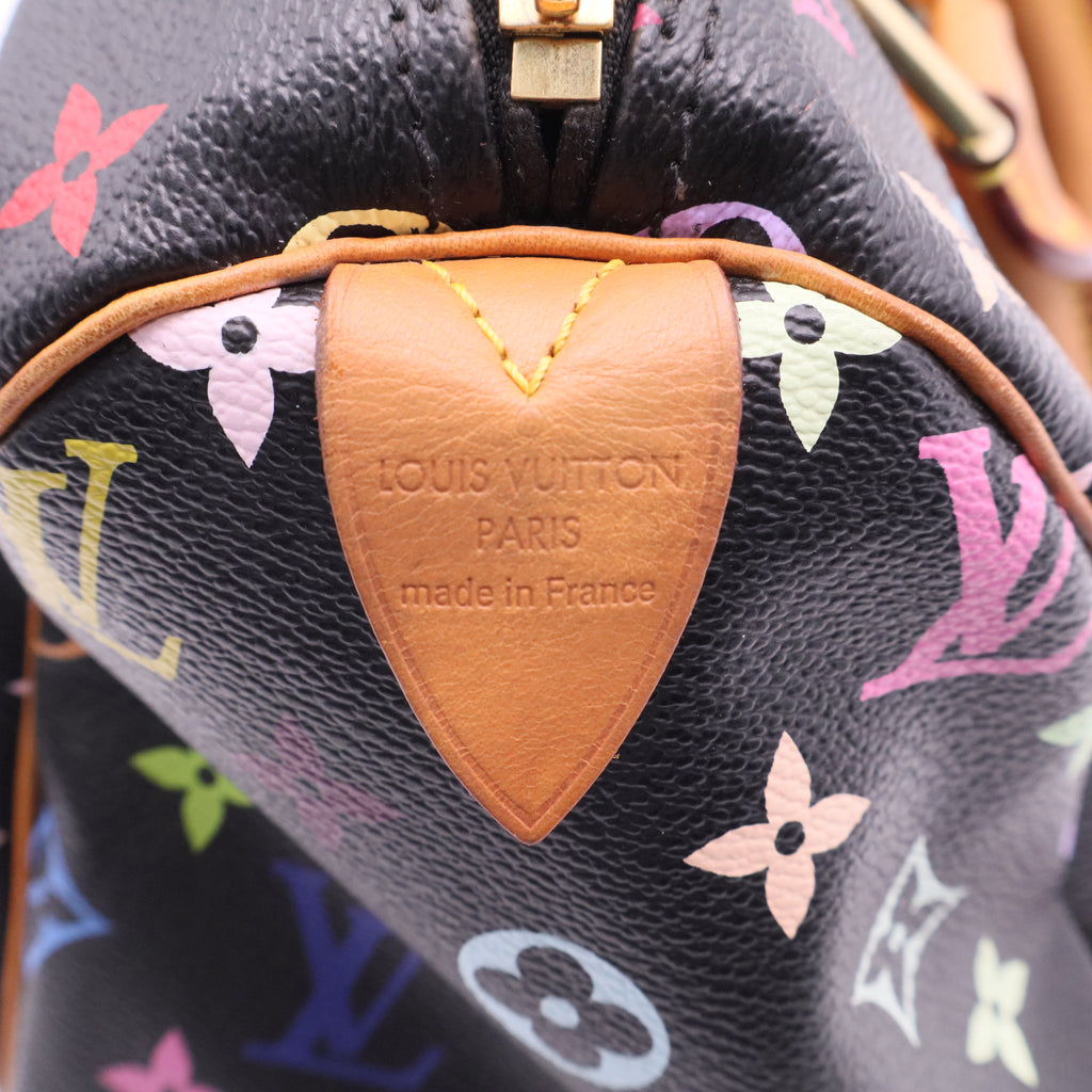 Louis Vuitton Takashi Murakami Speedy 30 Handbag twins