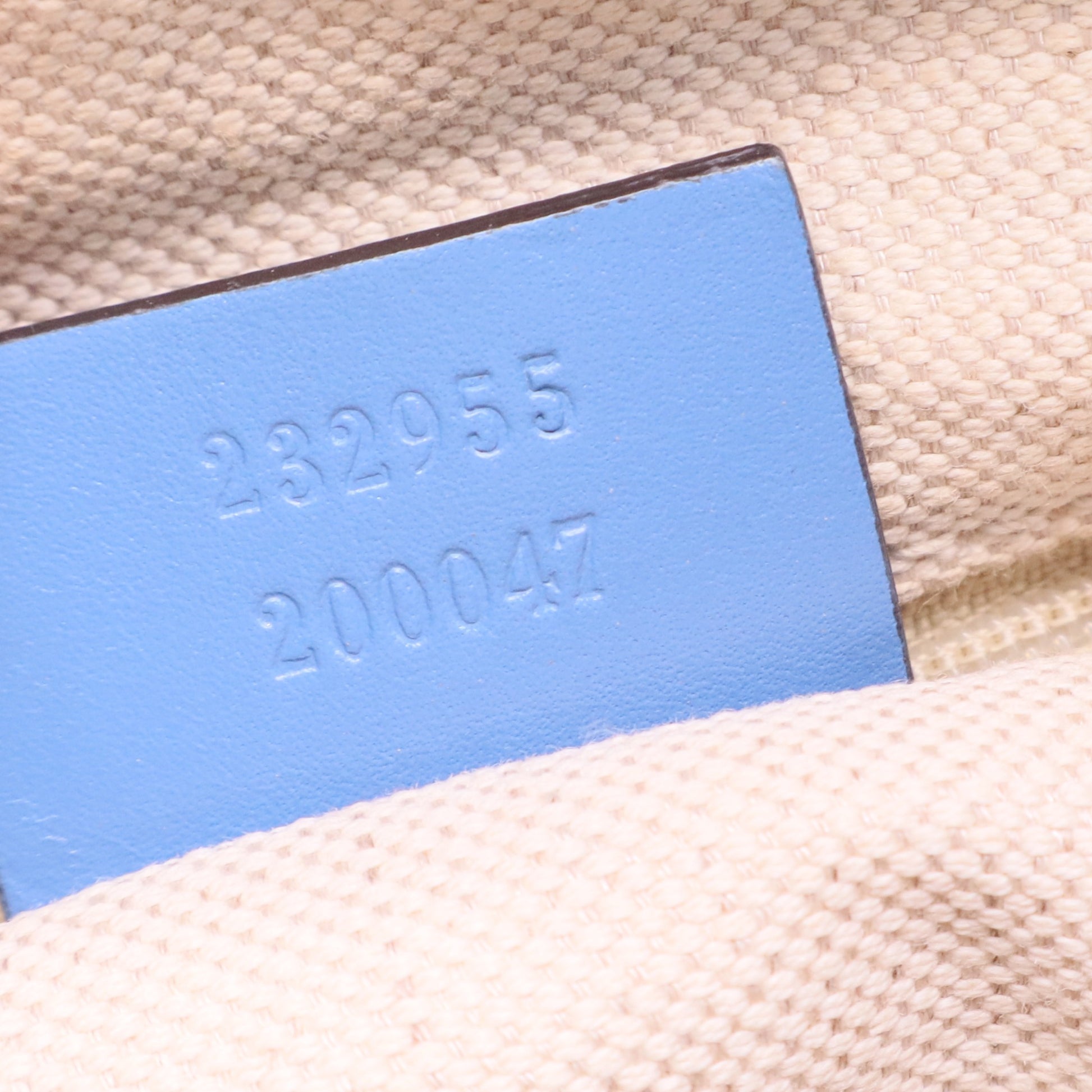 GG Canvas Sukey shoulder bag TWINS