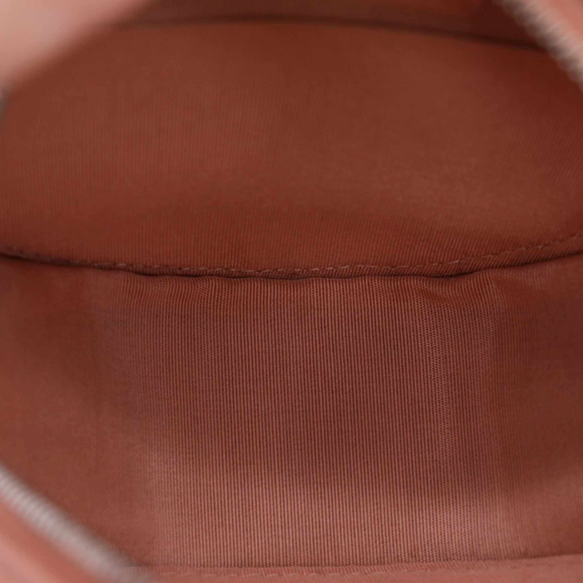 Chanel Iridescent Pink Camellia Embossed Goatskin Leather Round Clutch Bag twins LDZ402