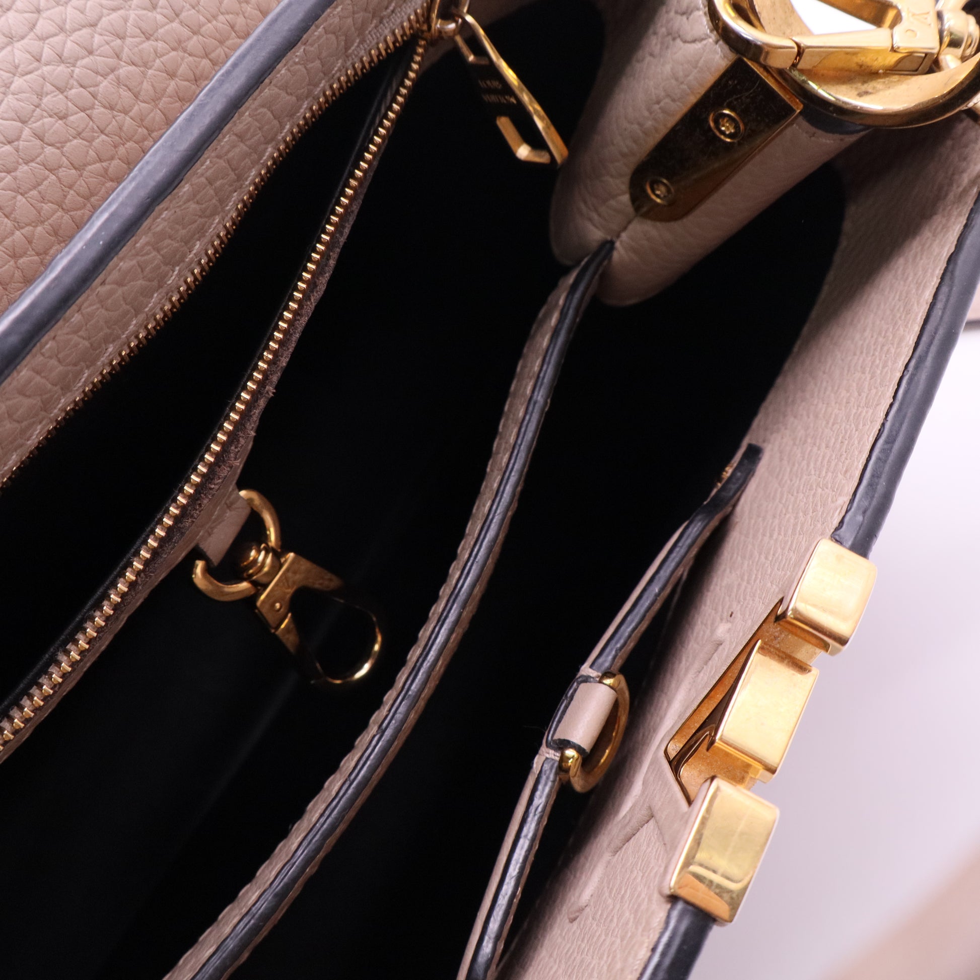 Louis Vuitton Galet Taurillon Leather and Capucines PM Bag Twins