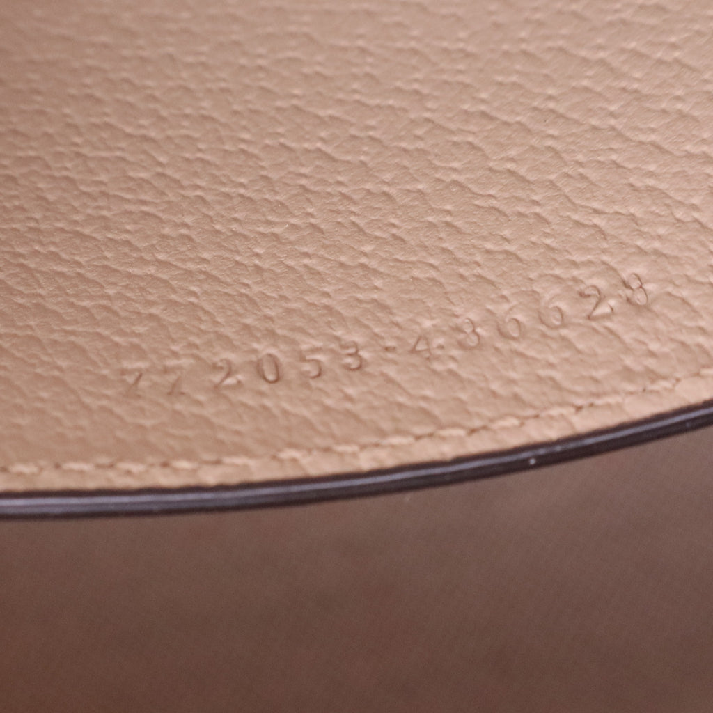 GUCCI Ophidia Mini Top Handle Bag twins