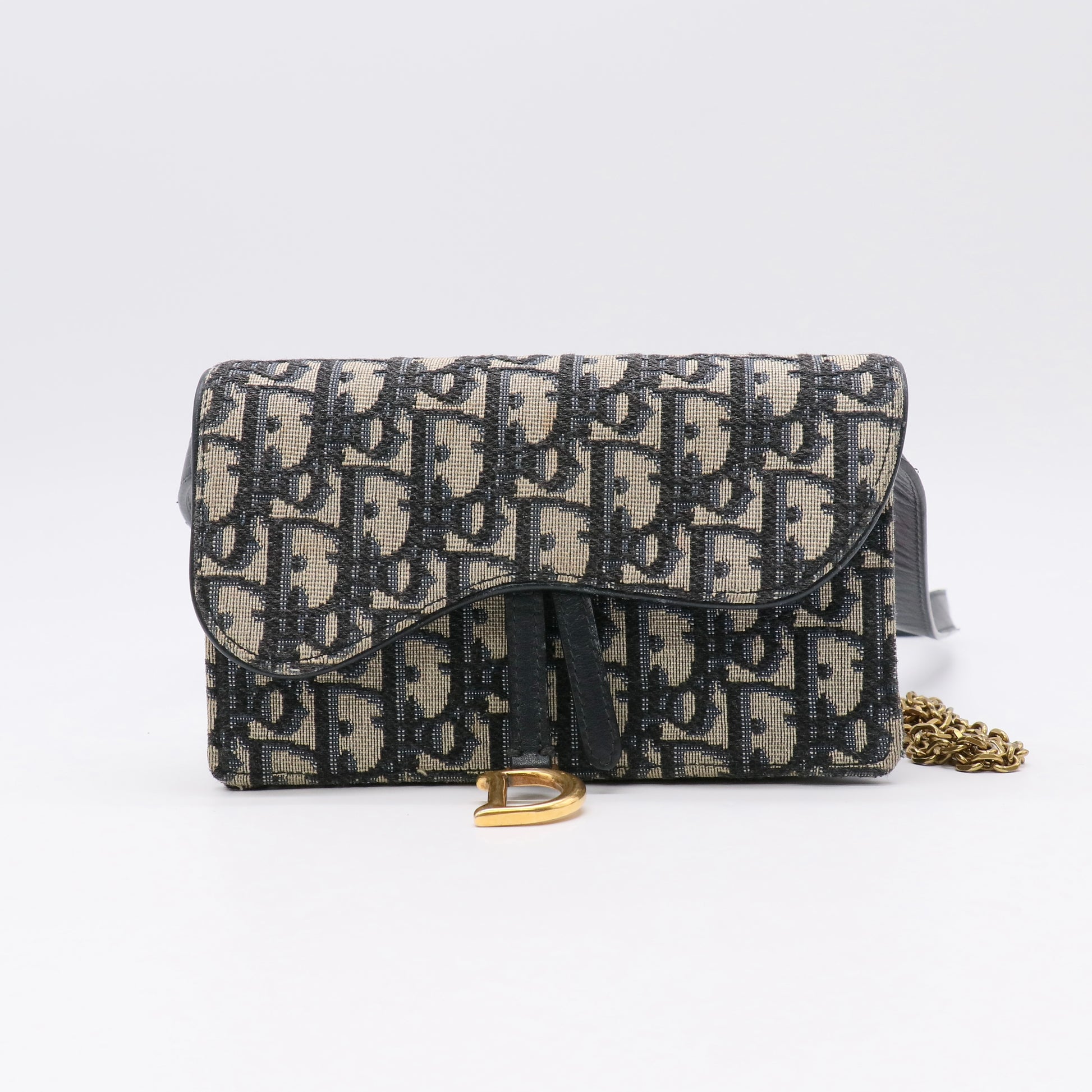 Dior Embroidered My Dior Daily Chain Pouch Oblique twins LDJ5592