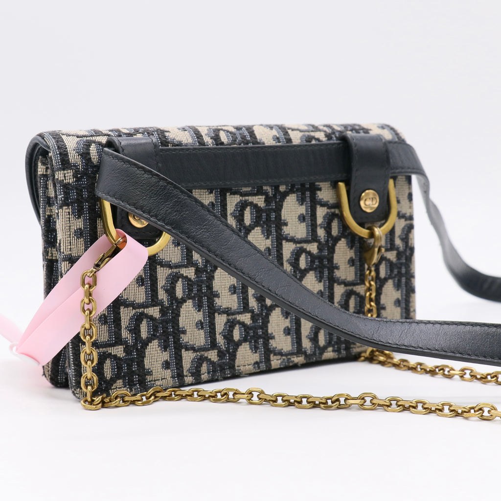 Dior Embroidered My Dior Daily Chain Pouch Oblique twins LDJ5592