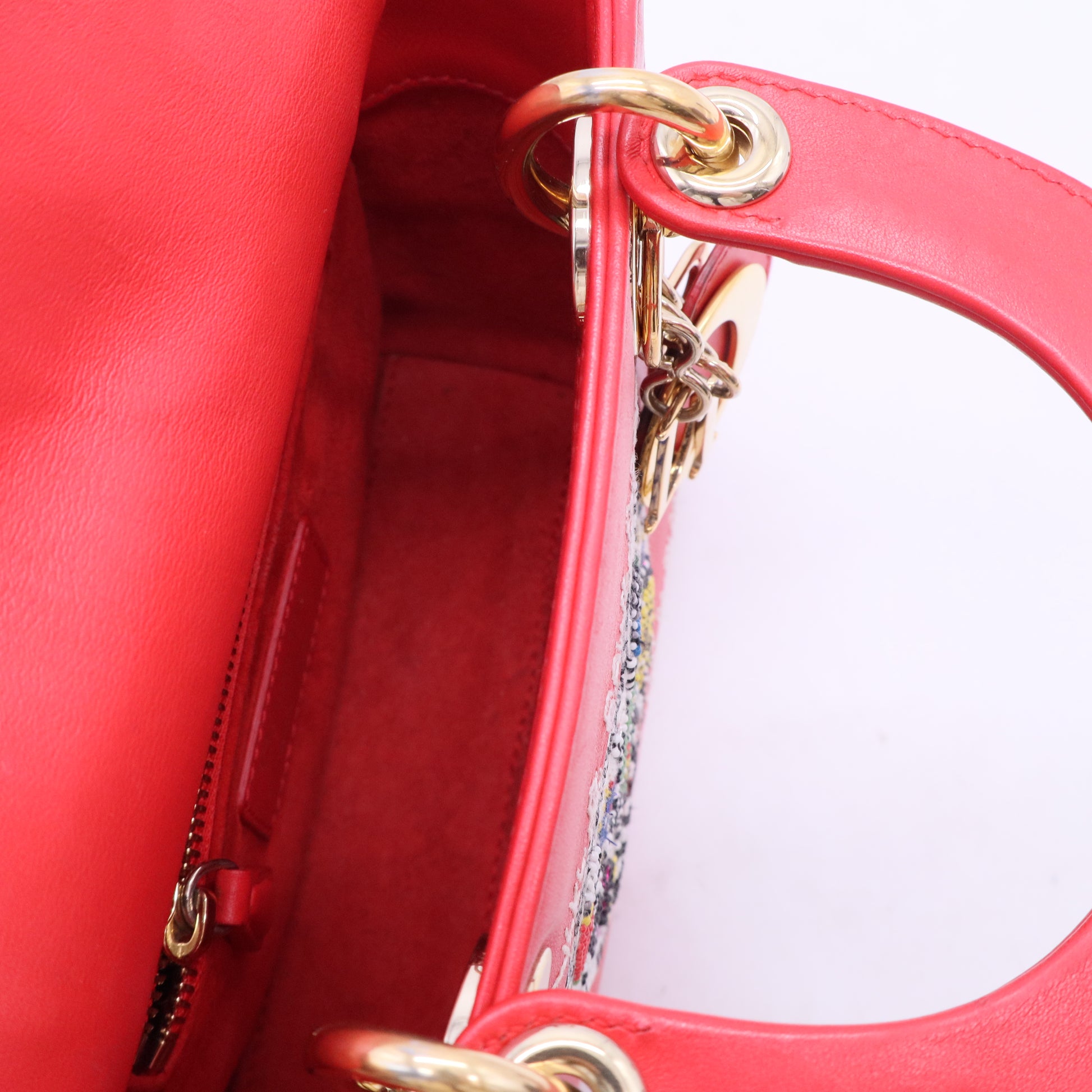 Lady Dior Chain Bag Limited Edition Niki de Saint Phalle Embroidered Leather Mini B20224